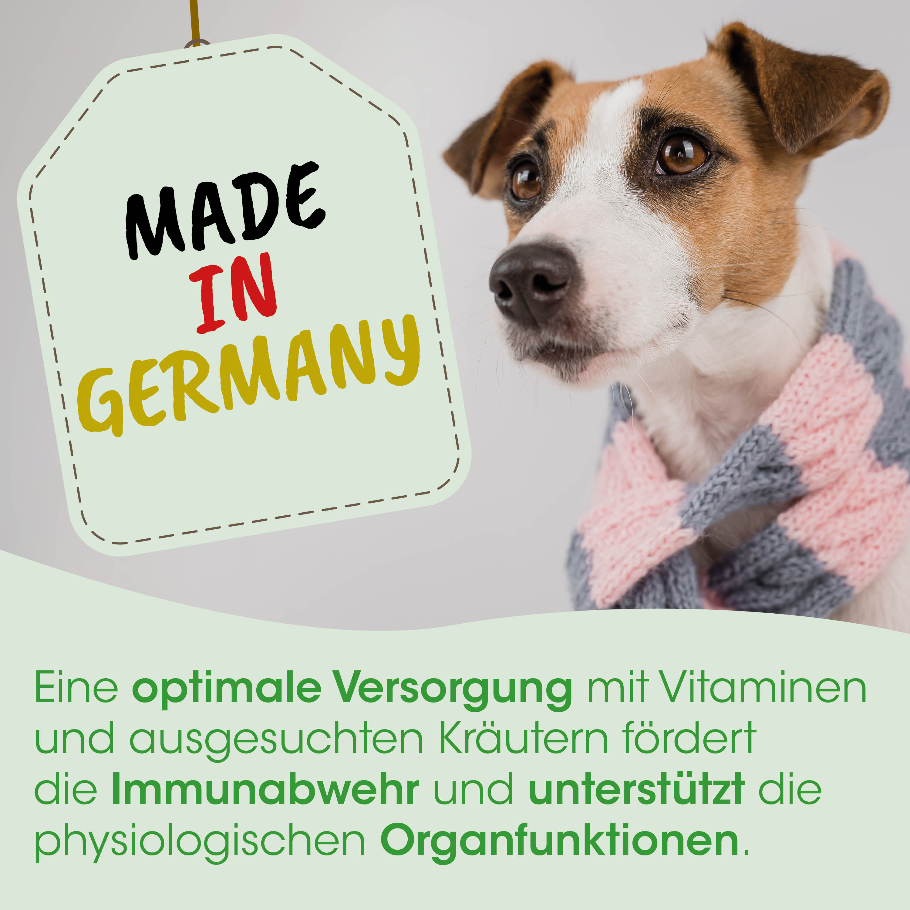Hund, Schal, Pflegeprodukt, Knuddeloptik, Made in Germany