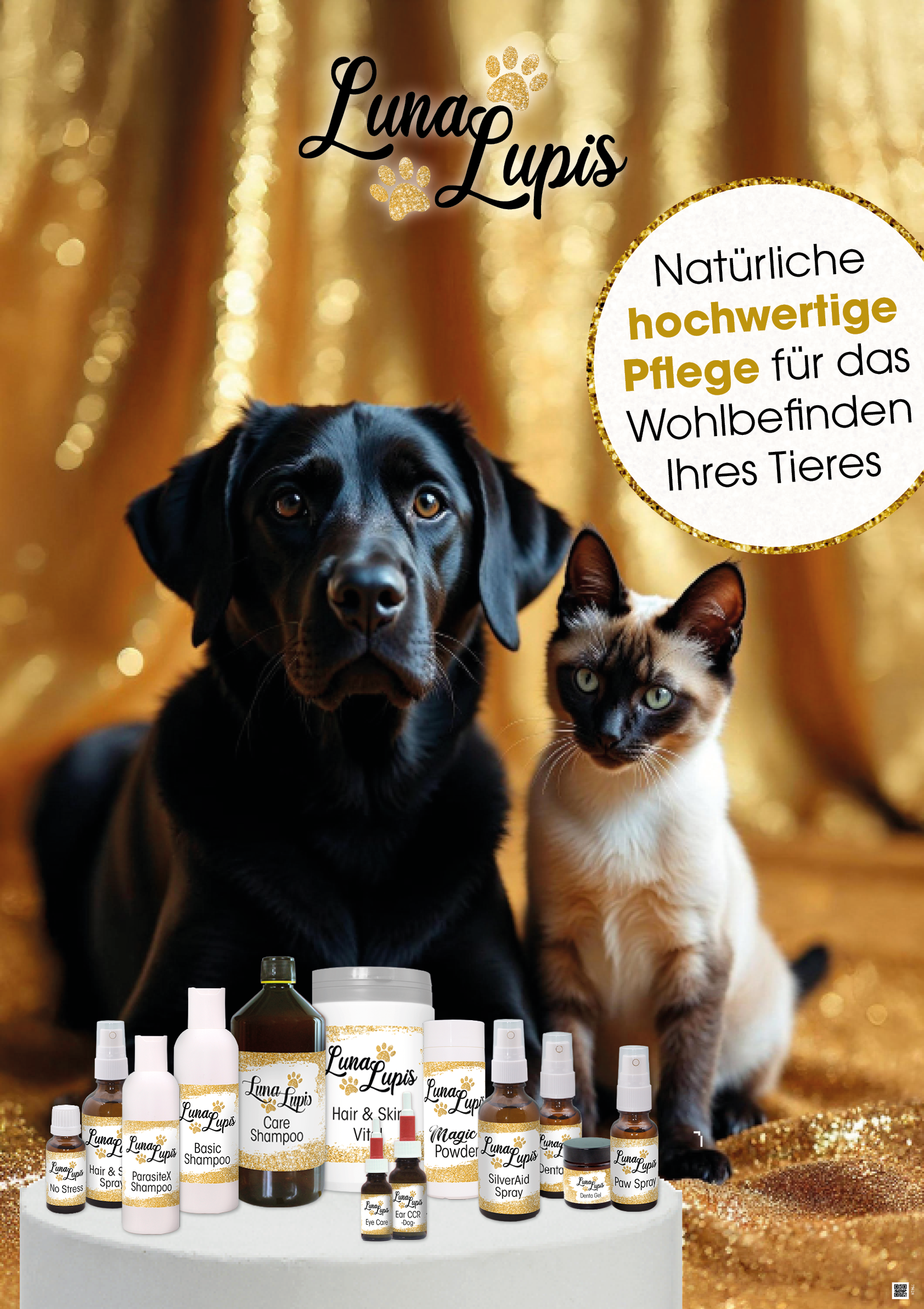 Tier, Hund, Säugetier, Haustier, Katze