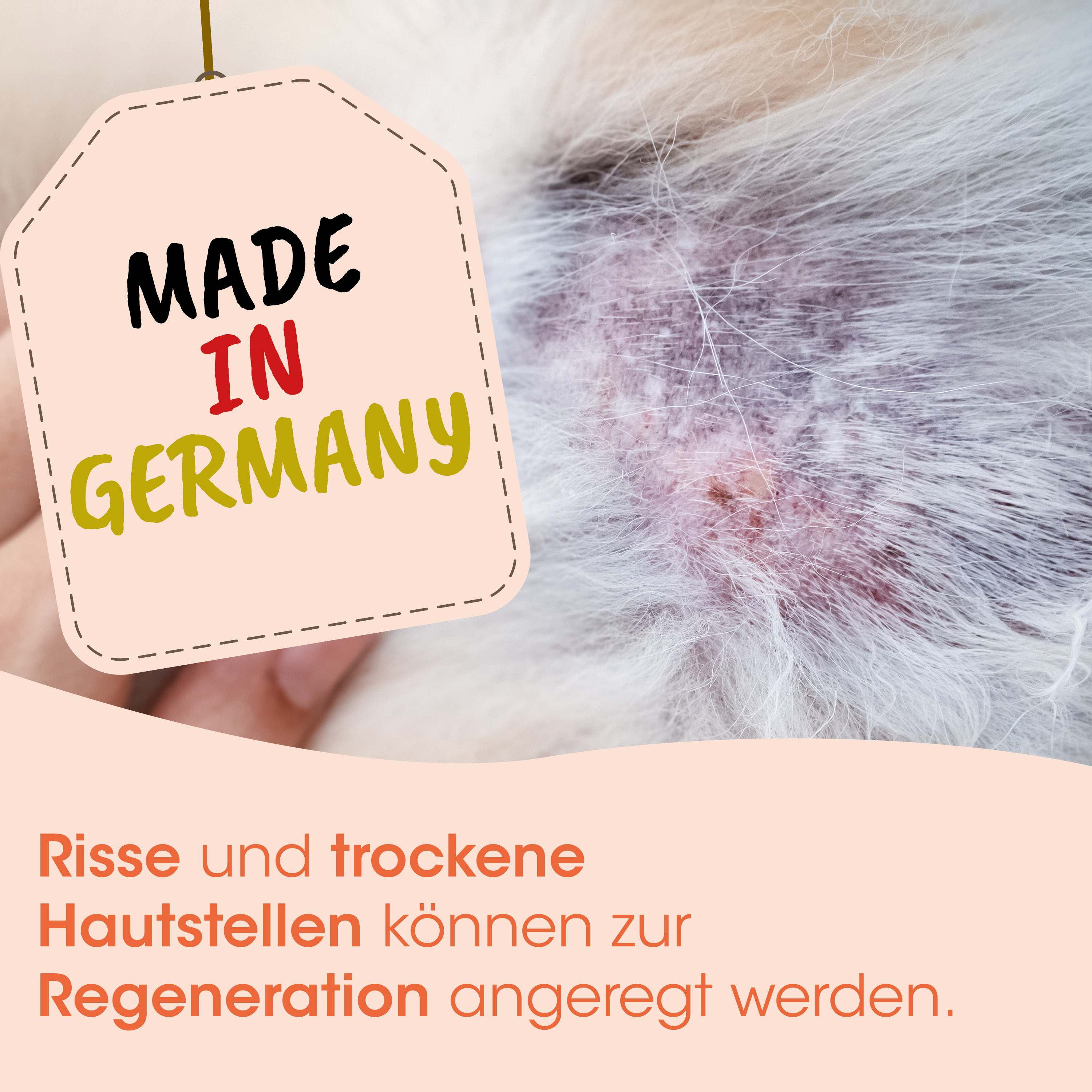 Hautreizungen, Hautausschlag, Tierfell, Entzündung, Regeneration