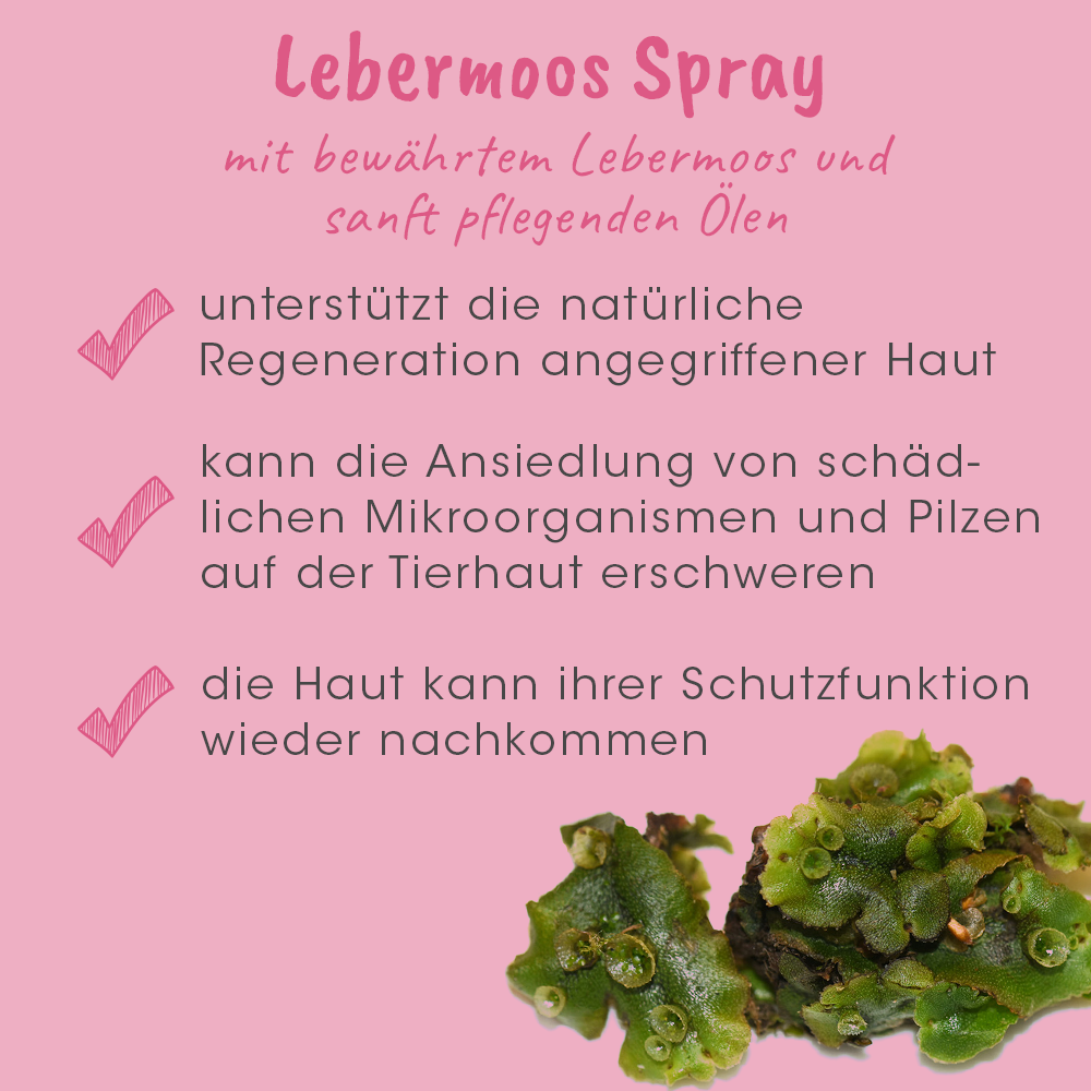 Lebermoos, Spray, Oberfläche, Kraut, Moos