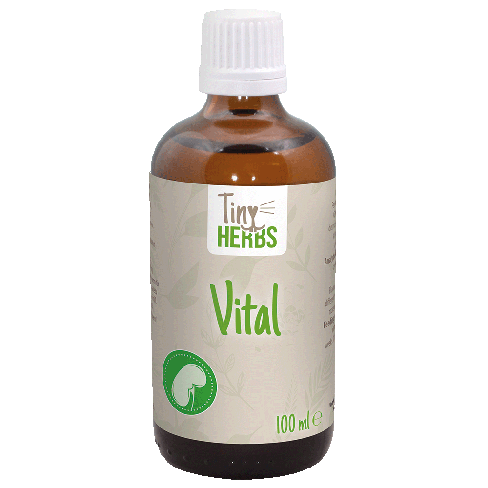TinyHerbs Vital 100 ml