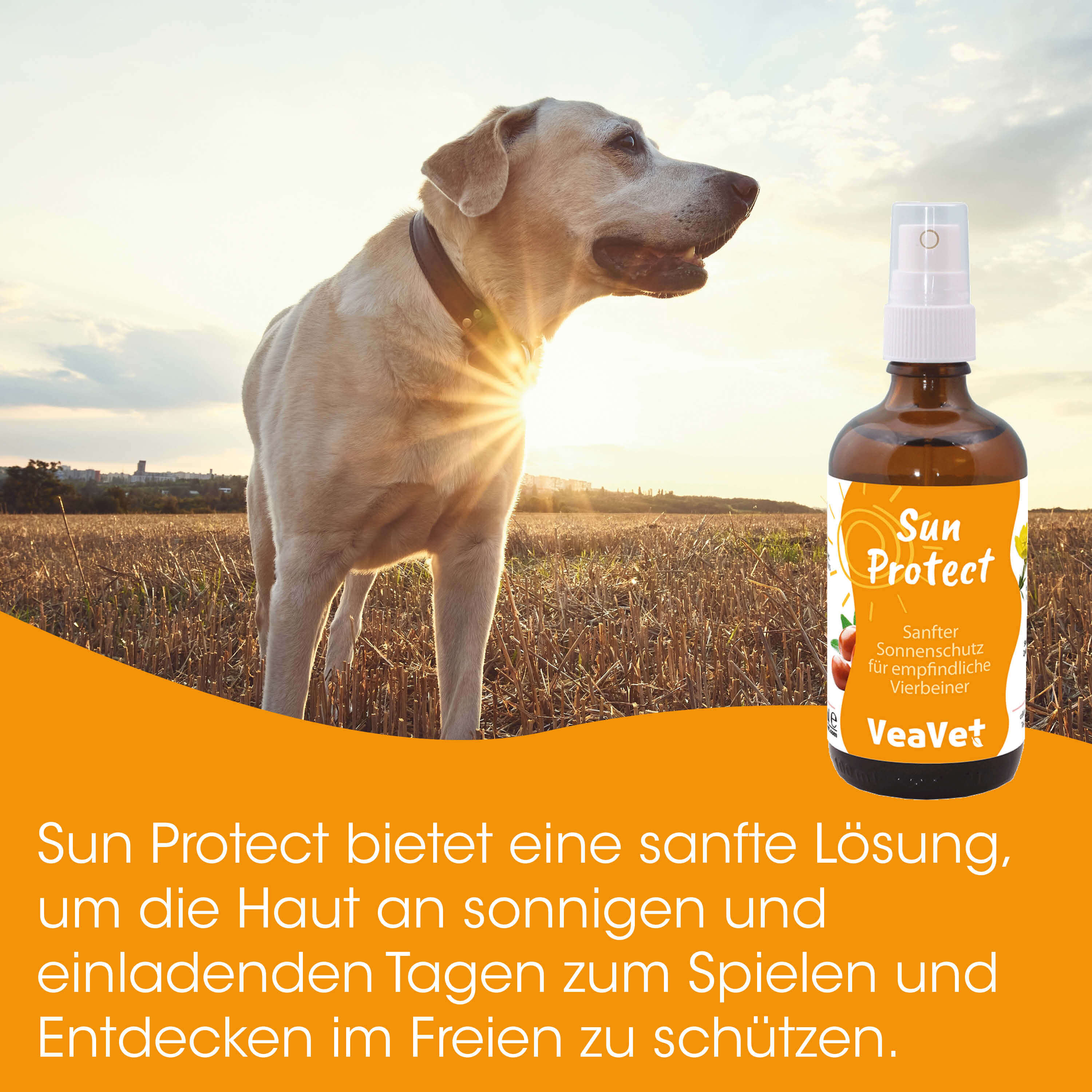 Hund, Sichtbares Spray, Sonnencreme, Sonnenschutz, Haustierpflege