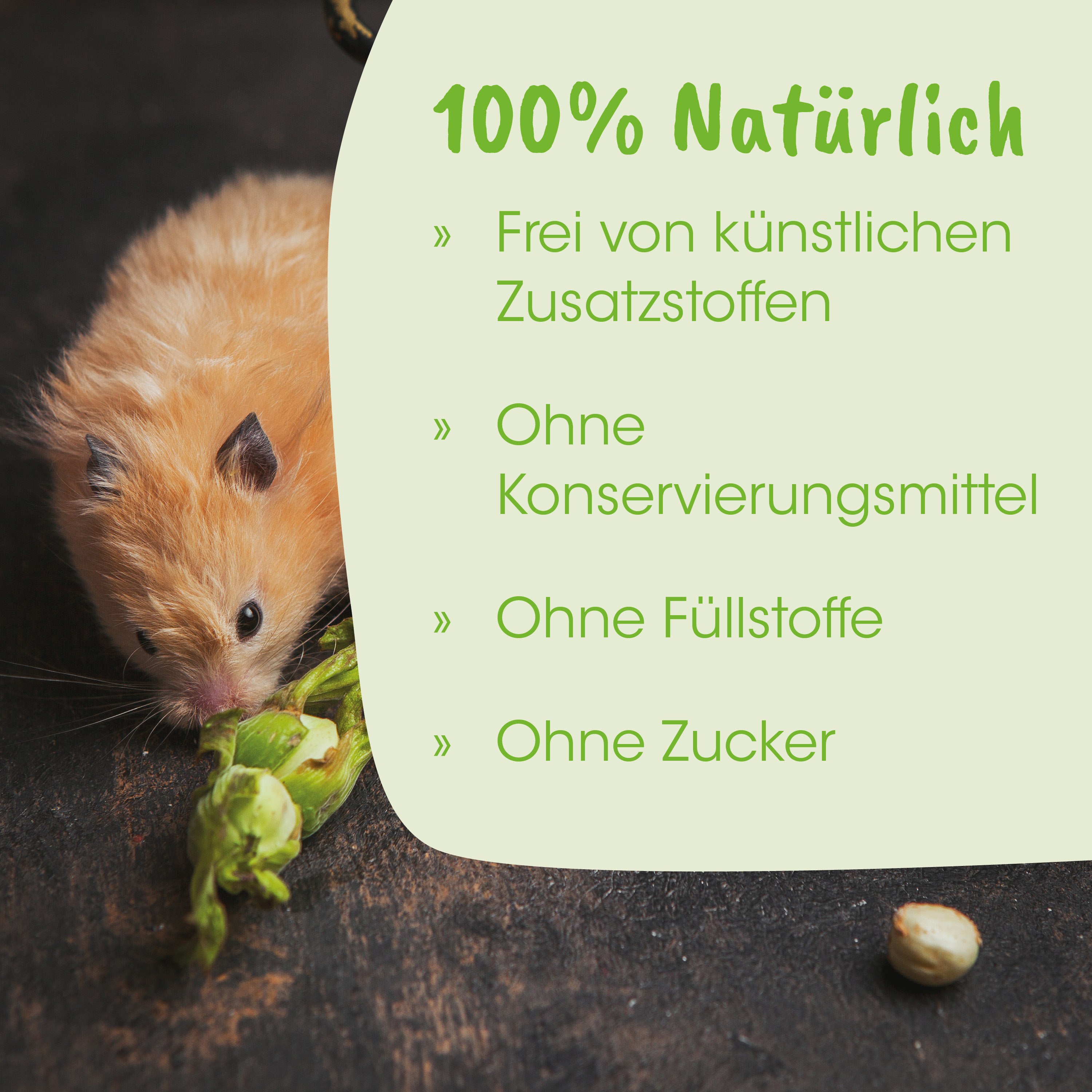 Hamster, Tier, Futter, Karotte, Nährstoffreich