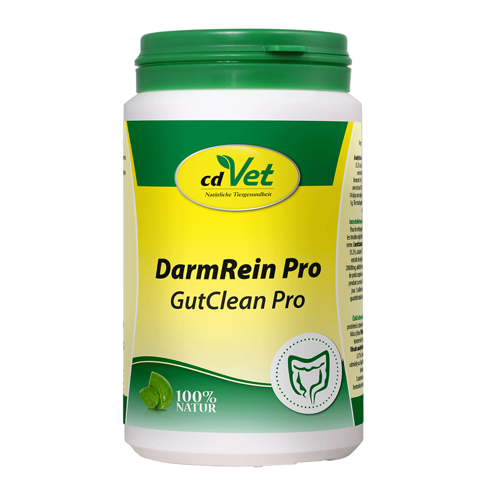DarmRein Pro 180 g-Sorbe-