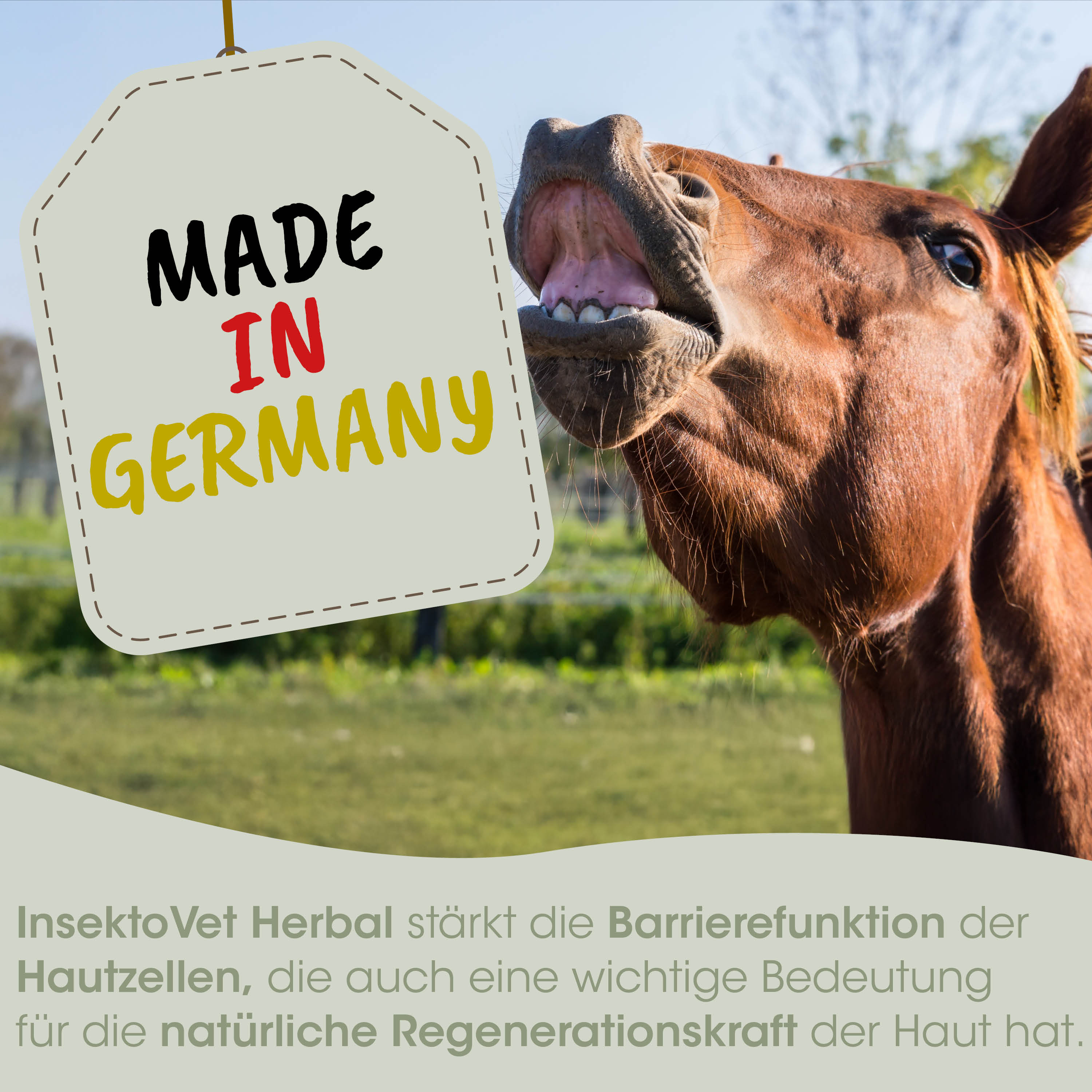 Hefer, Tier, Landwirtschaft, Made in Germany, Label
