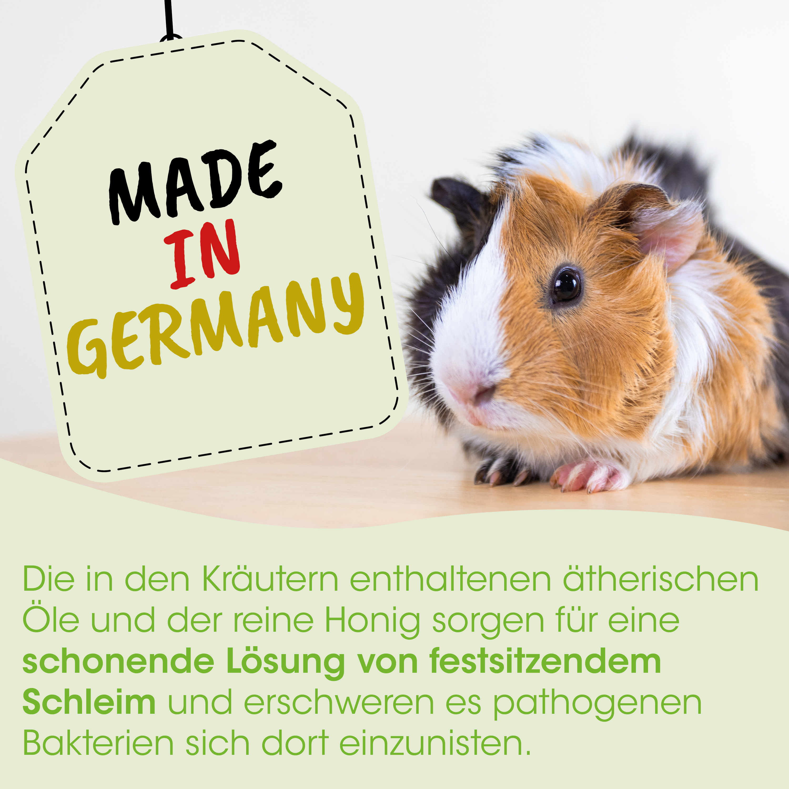  guinea pig,  Haustier- Nagetier,  braun weiß schwarz,  Fell,  Etikett