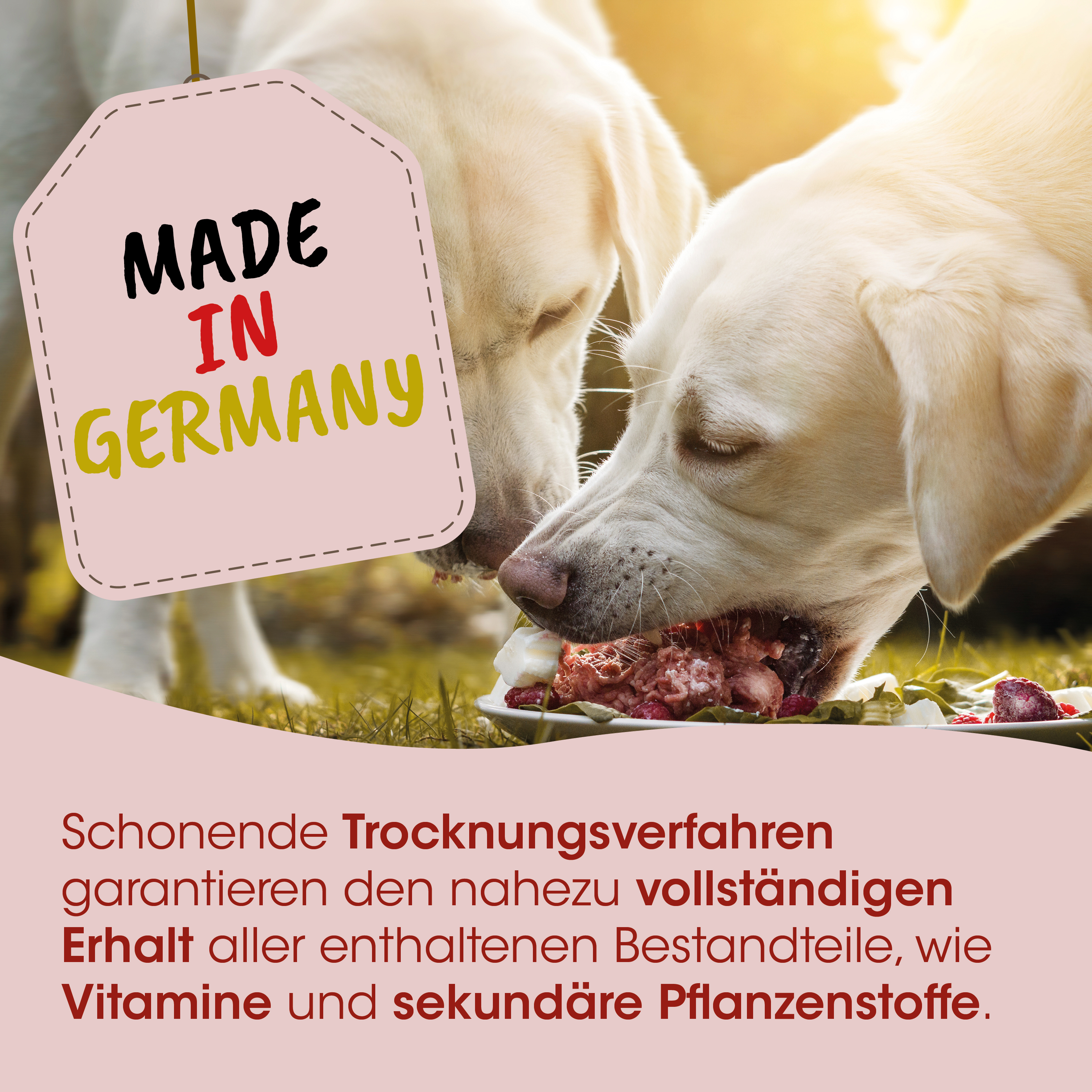 Hund, Hundeernährung, Knochenfutter, Barfen, Futter