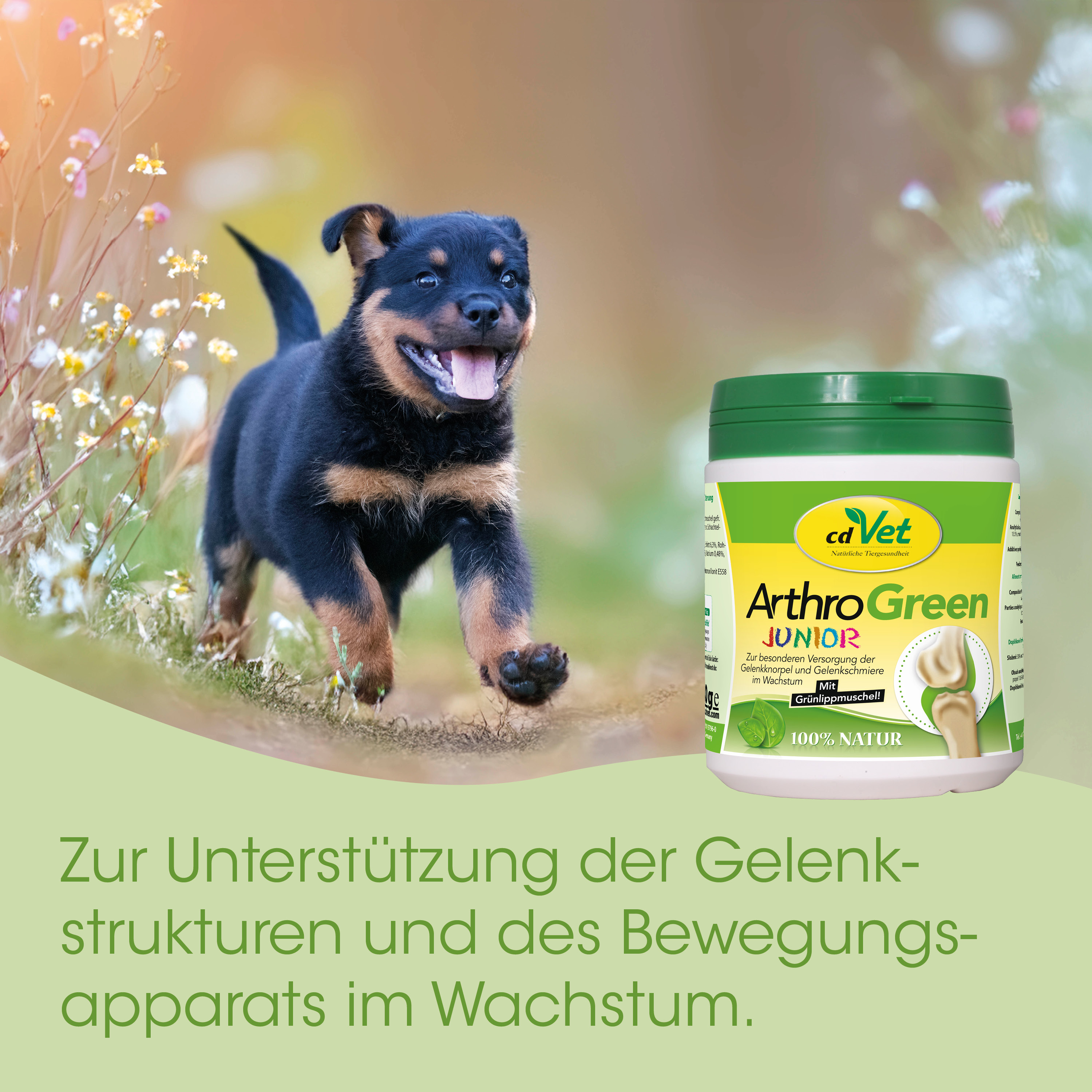 Hund, Welpen, JUNIOR, ArthroGreen, Kausale Mischung