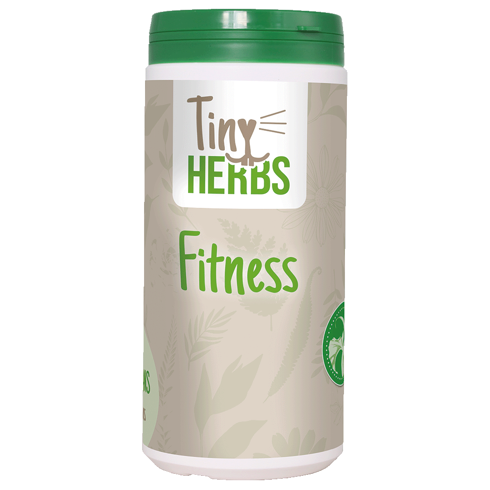 Fitness, Kräuter, Behälter, Grüner Deckel, Etiketten-Design