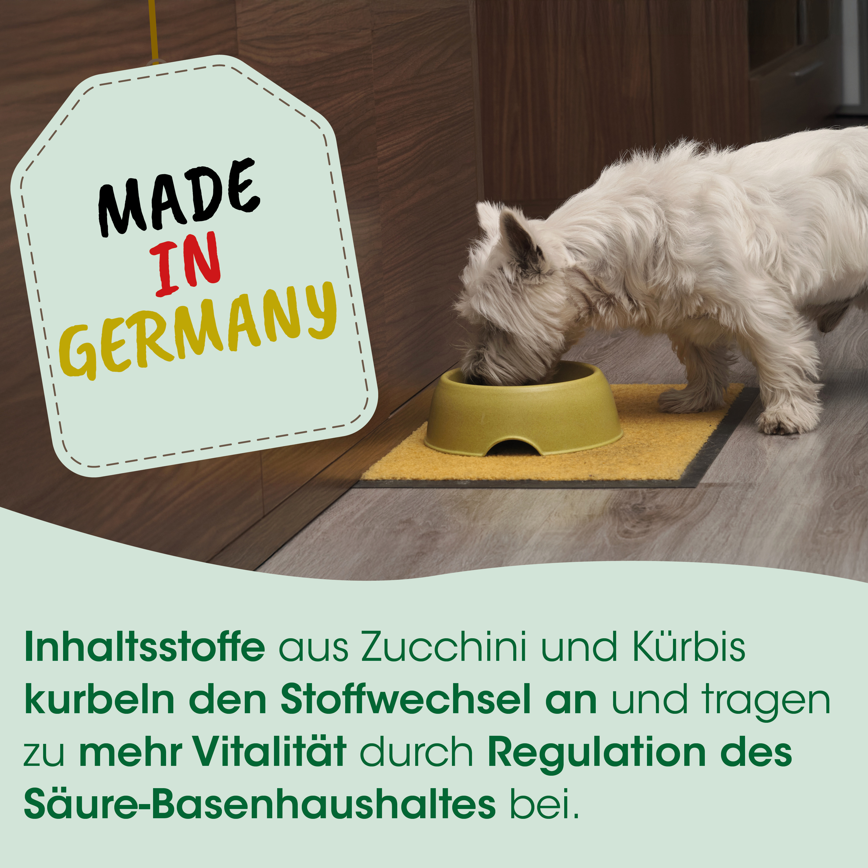 Hund, Hundeernährung, Futterstation, Katzennapf, Made in Germany