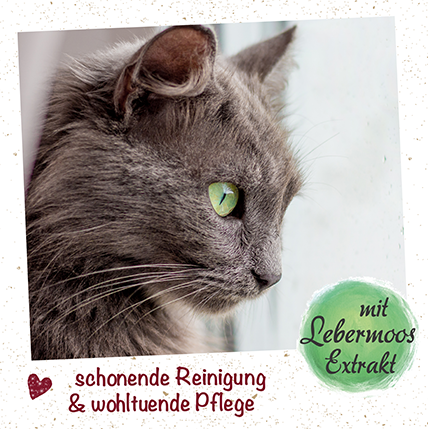 Shopbild Tennis, Tennisball, Tier, Katze, Haustier