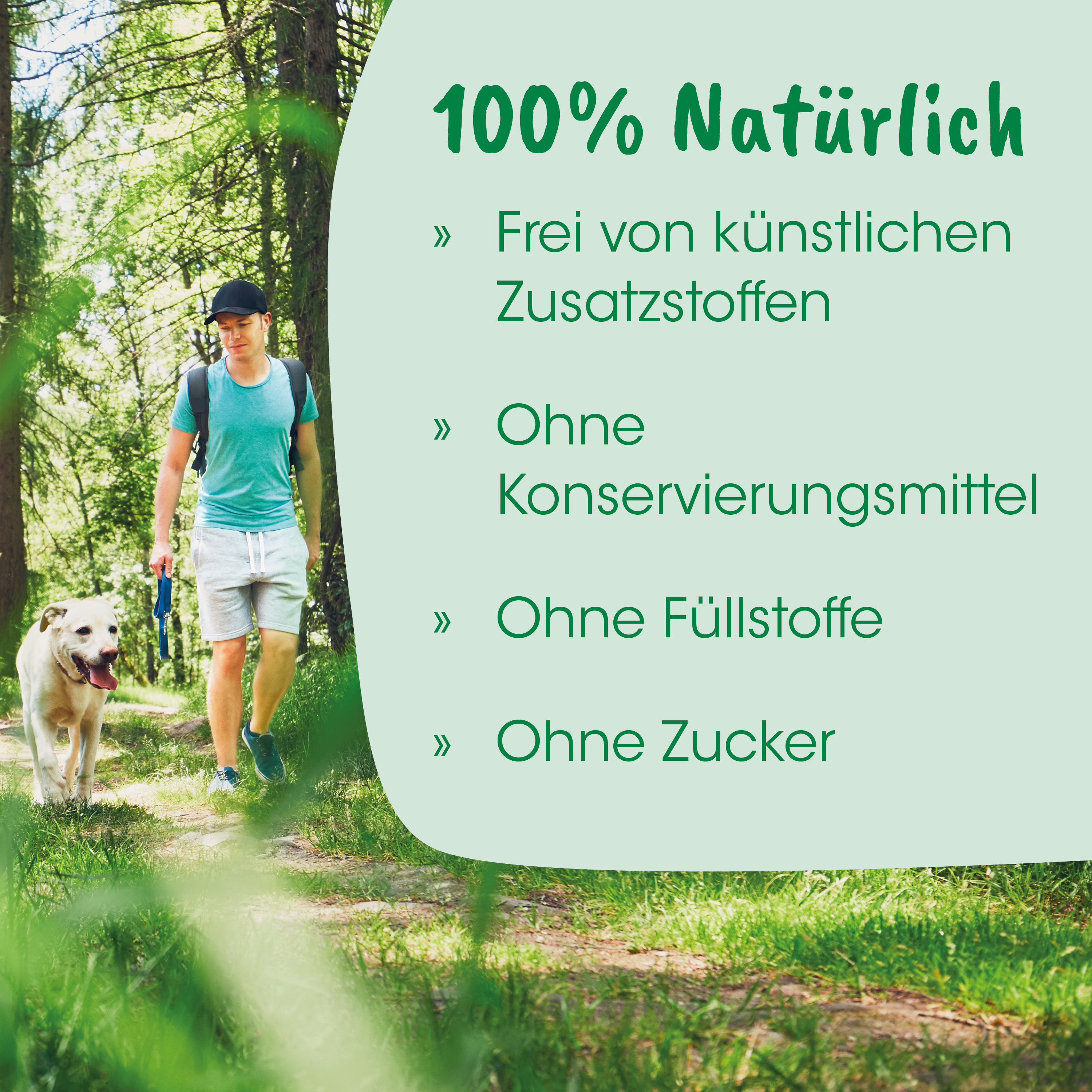 Outdoor, Wandern, T-Shirt, Shorts, Hund