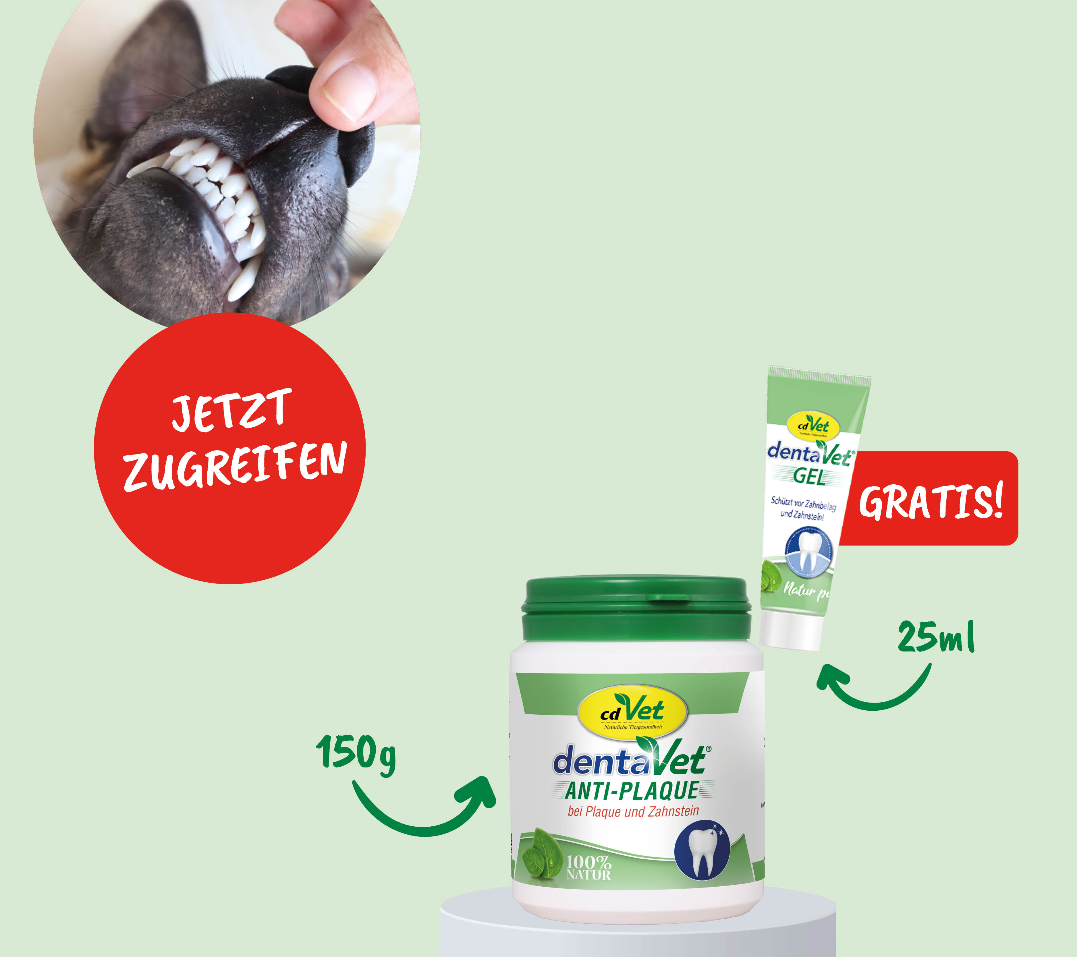 zahncreme, dentalschutz, anti-plaque, kauartikel, 50g