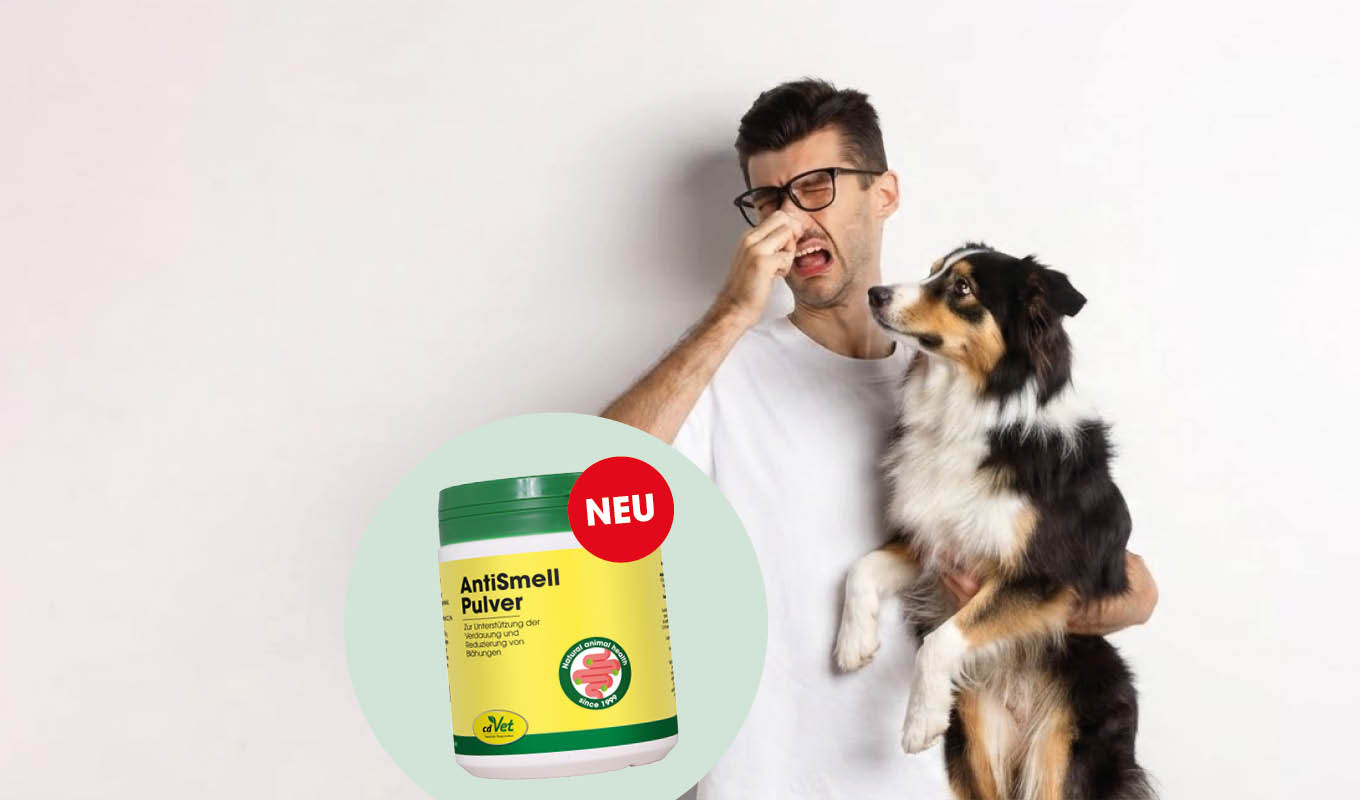 Mann mit Brille, Tierfoto, Nase kratzen, Hund und Besitzer, weißer Hintergrund, AntiSmell Powder, Hundepflege, Tiergeruch beseitiger, gelber Behälter, grüner Deckel