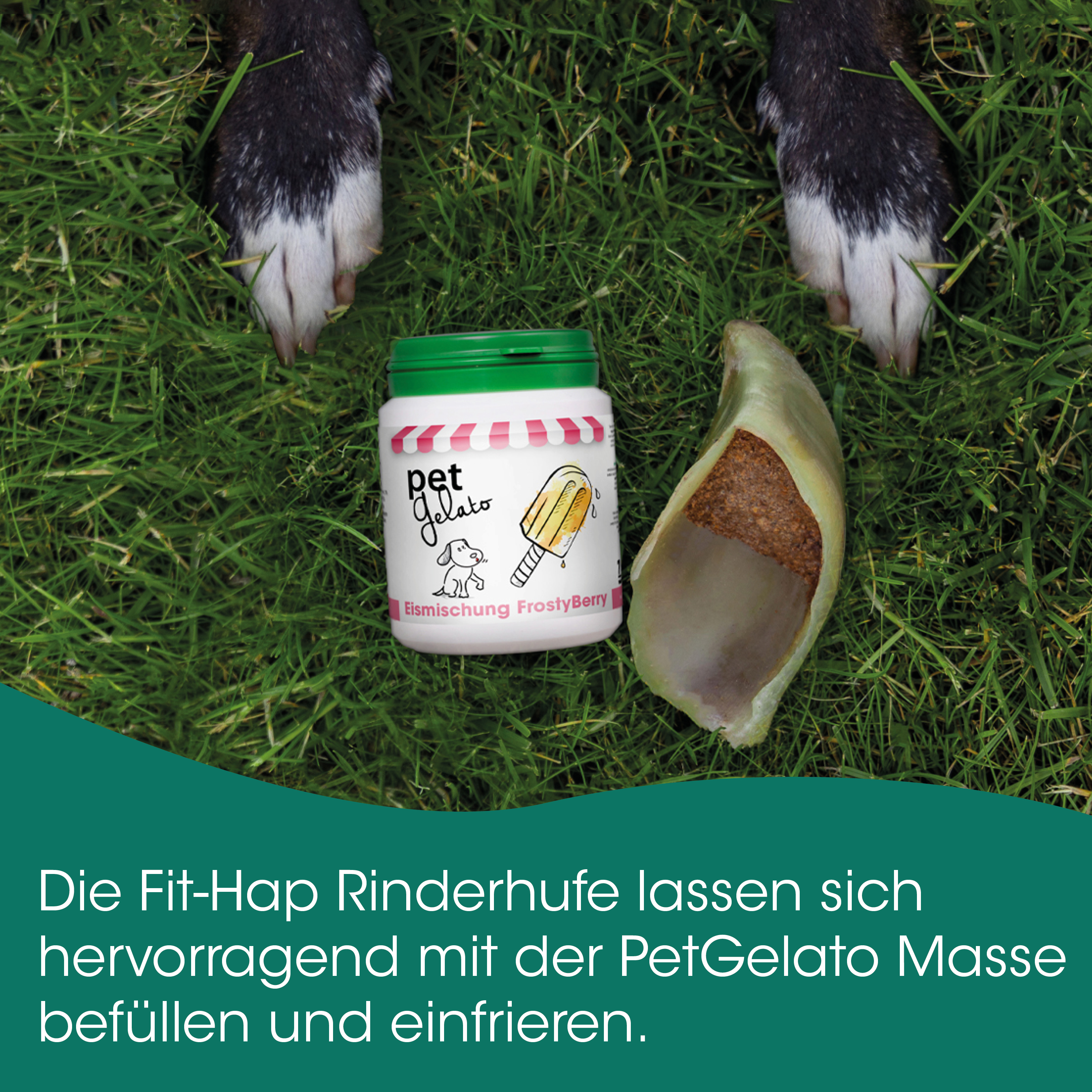 Pet Gelato, Eiscreme-Masse, Kühlprodukt, Hundezubehör, Futterzusatz