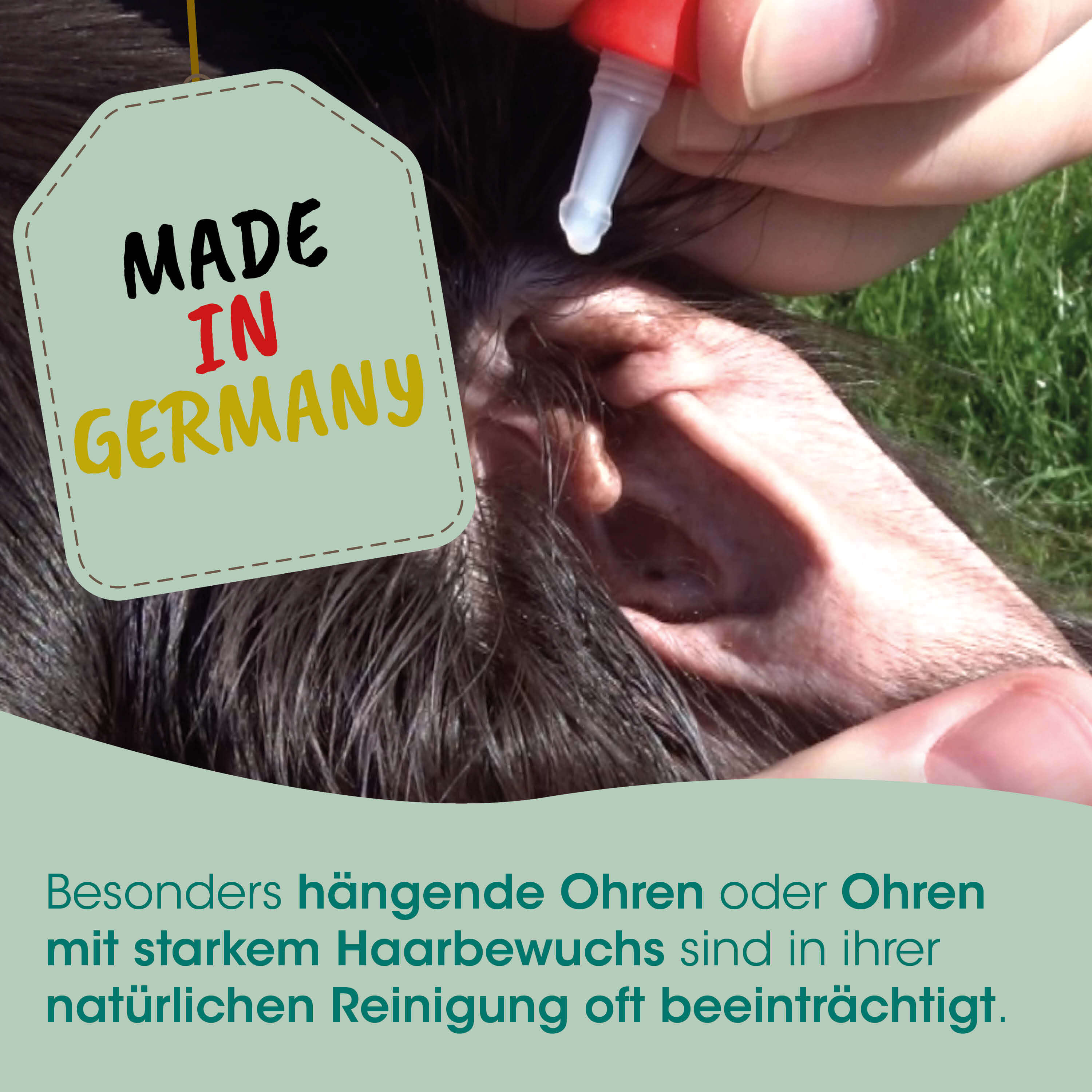 Ohrenpflege, Ohrenreinigung, Piercing, Made in Germany, Haarwuchs
