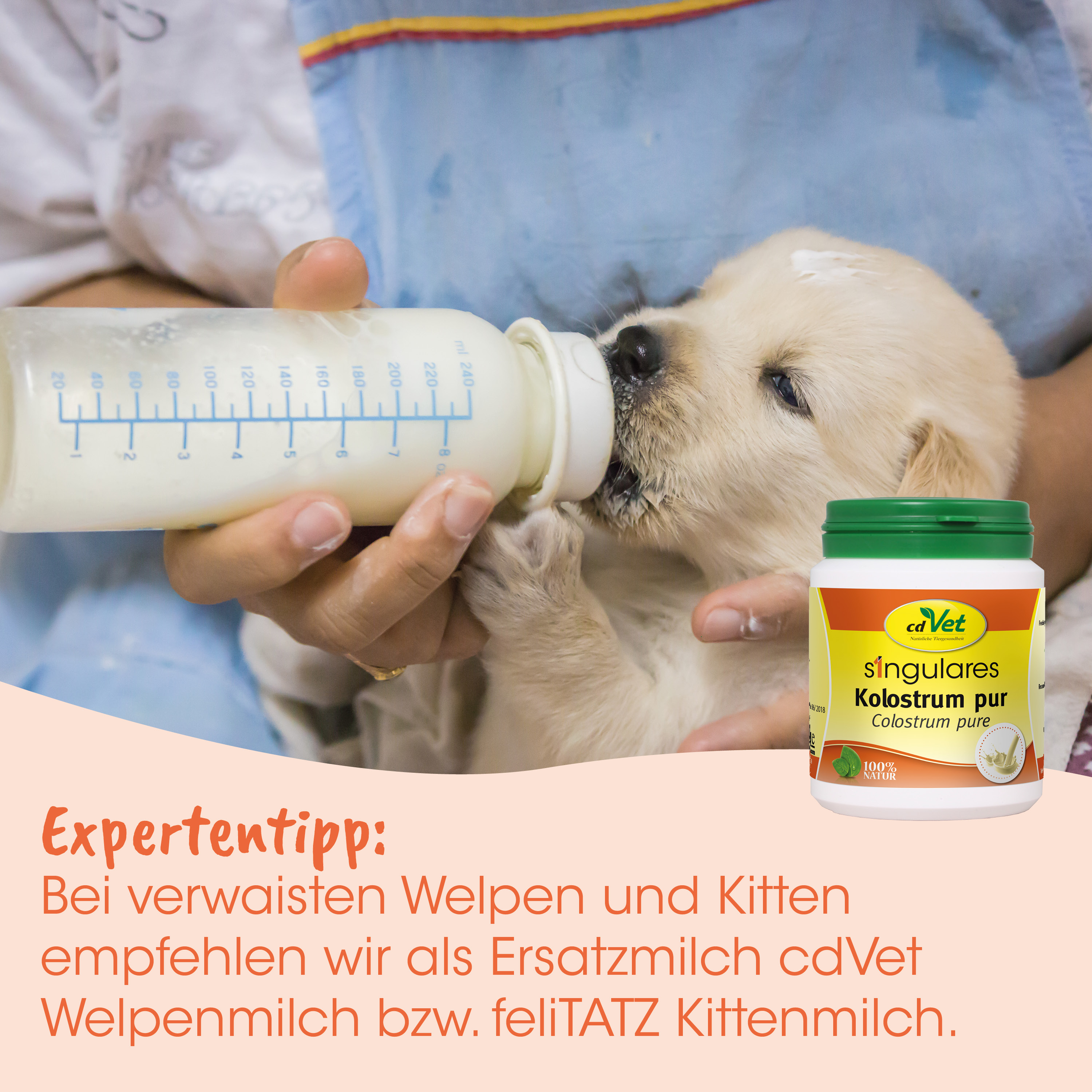 baby-puppy, infant-puppy, milchflasche, flaschenfütterung, haustier-zusatz