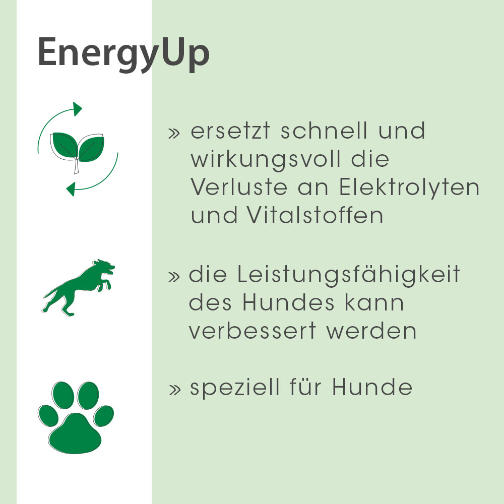 EnergyUp 450 g EnergyUp 450 g