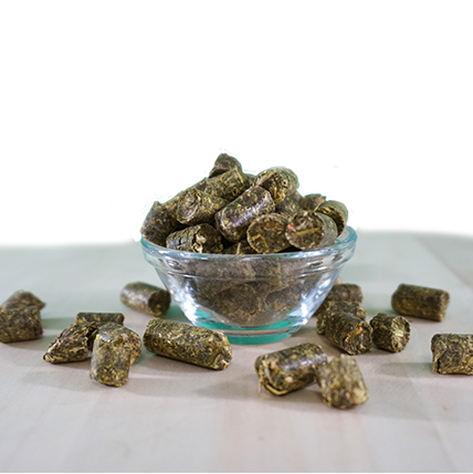 EquiGreen Bio-KräuterGrün Leckerlis 20 kg