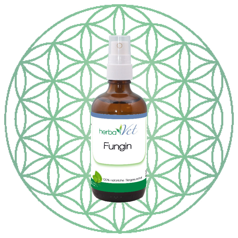 HV-Fungin Kräuterig, Kräuter, Würzen, Sirup, Lotion