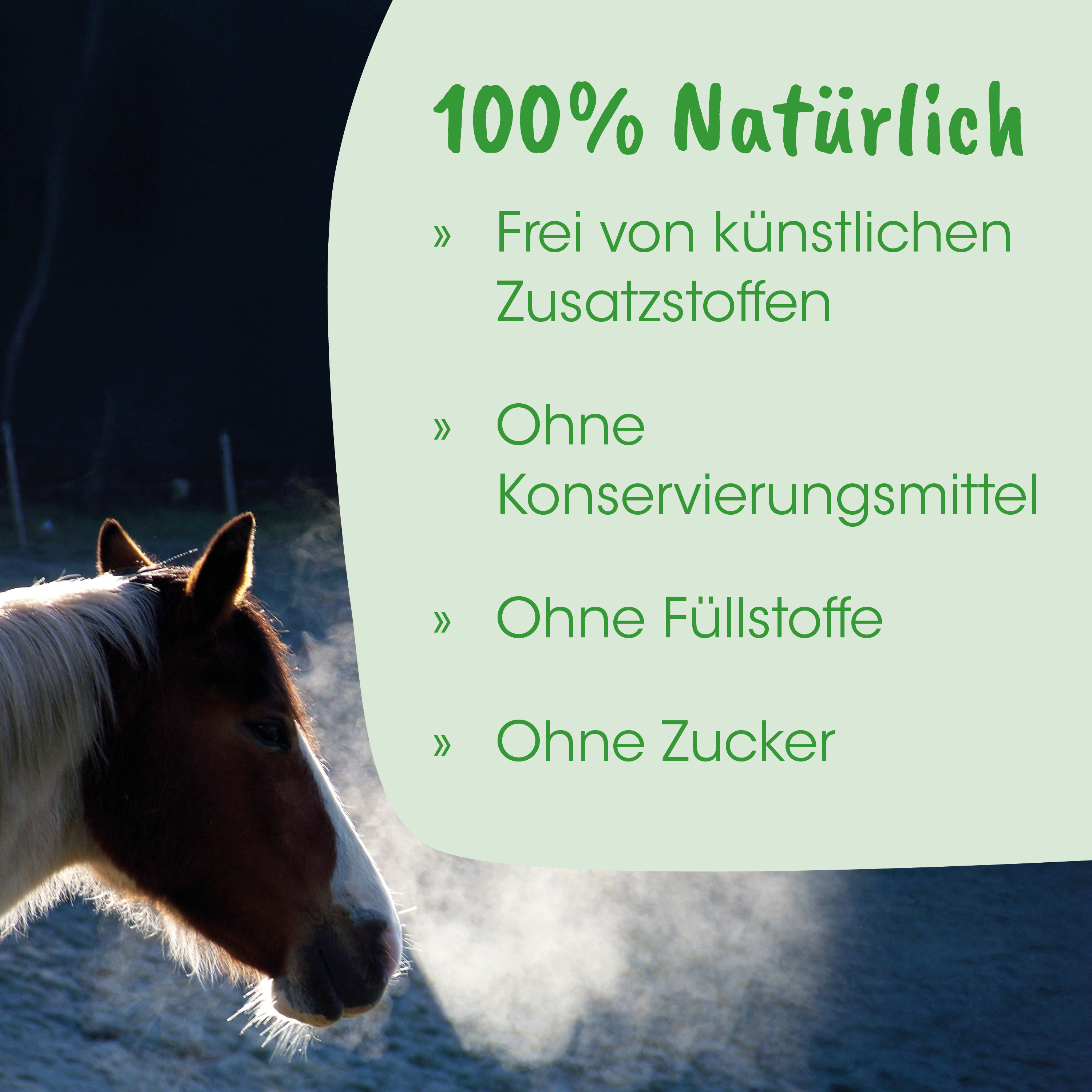 Pferd, Pferdemaul, Haar, Halter, Naturid