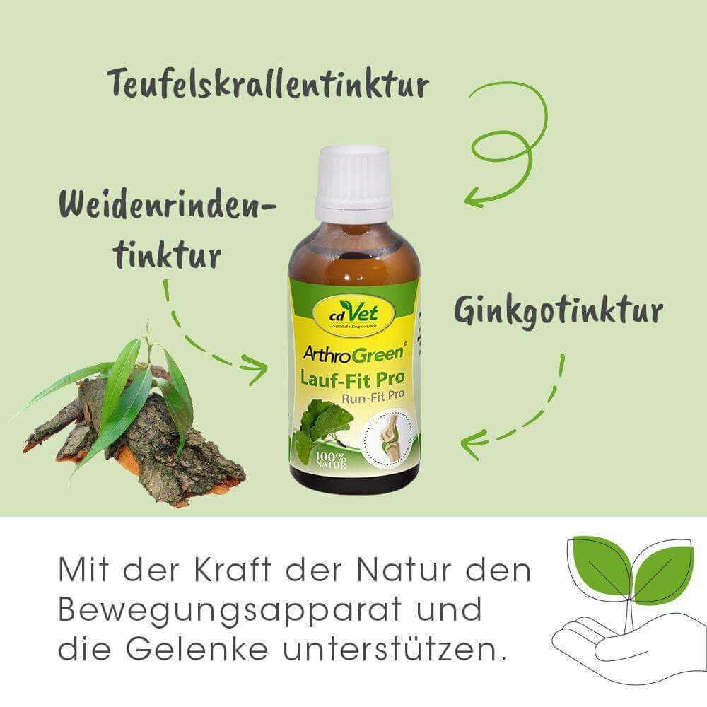 ArthroGreen Lauf-Fit Pro 100 ml -Sorbe-
