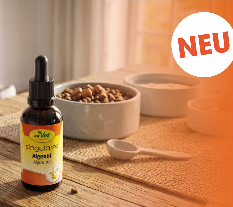 Algenöl, Algae oil, Tierfutter, Tierzubehör, Nahrungsergänzung