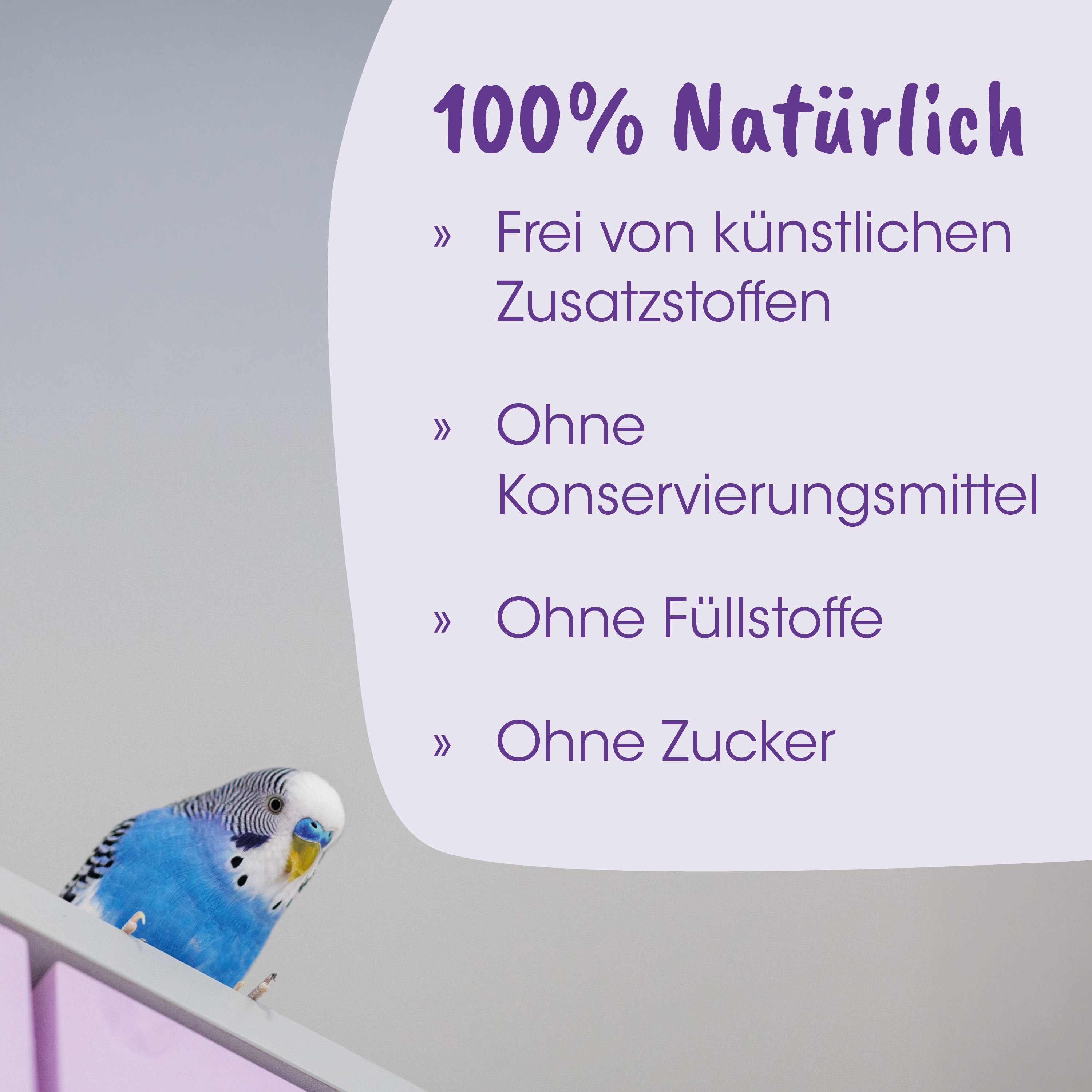 papagei, wellensittich, blauer papagei, haustier vogel, wohnaccessoire