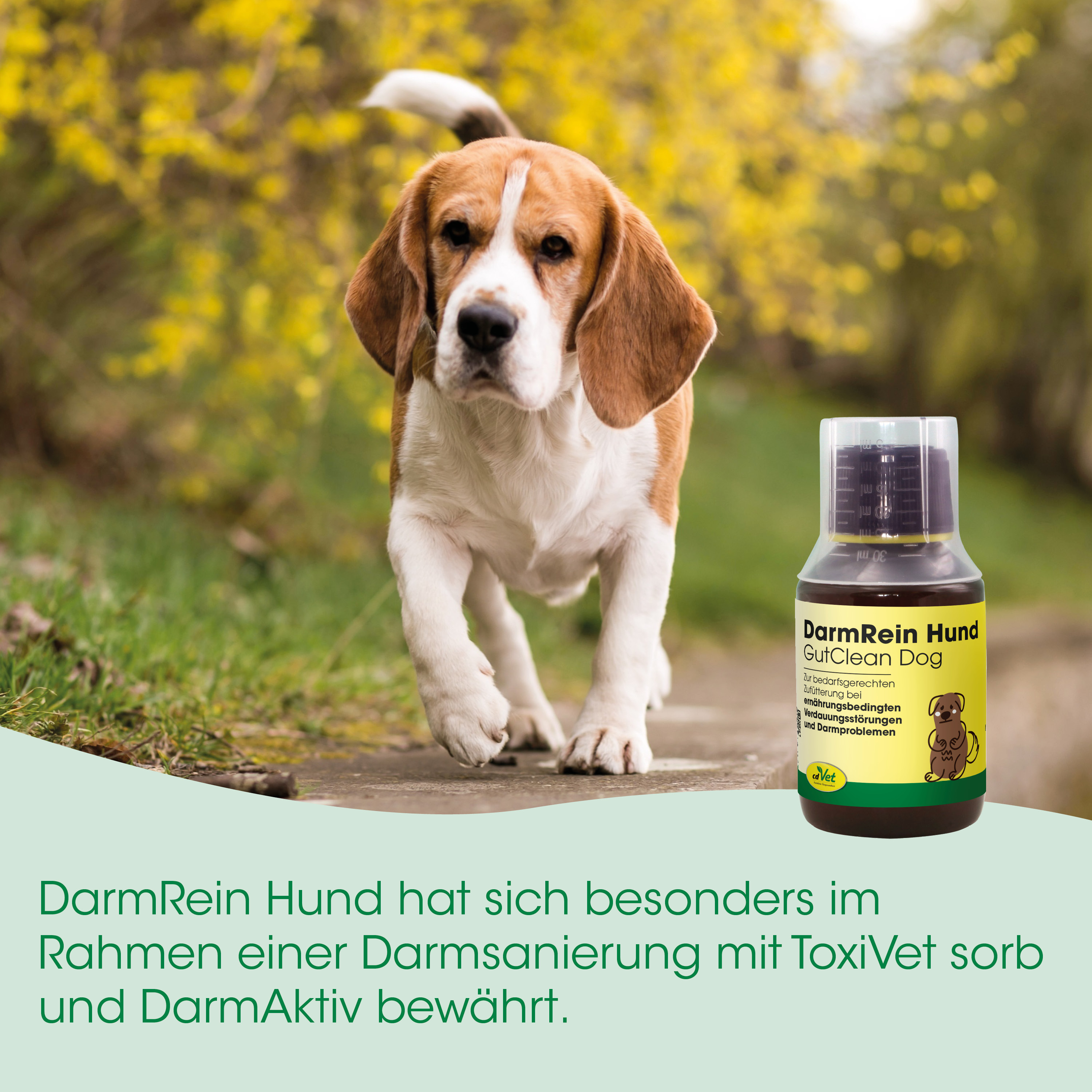 Hund, Behandlung, Darmrein, Flasche, ToxiVet