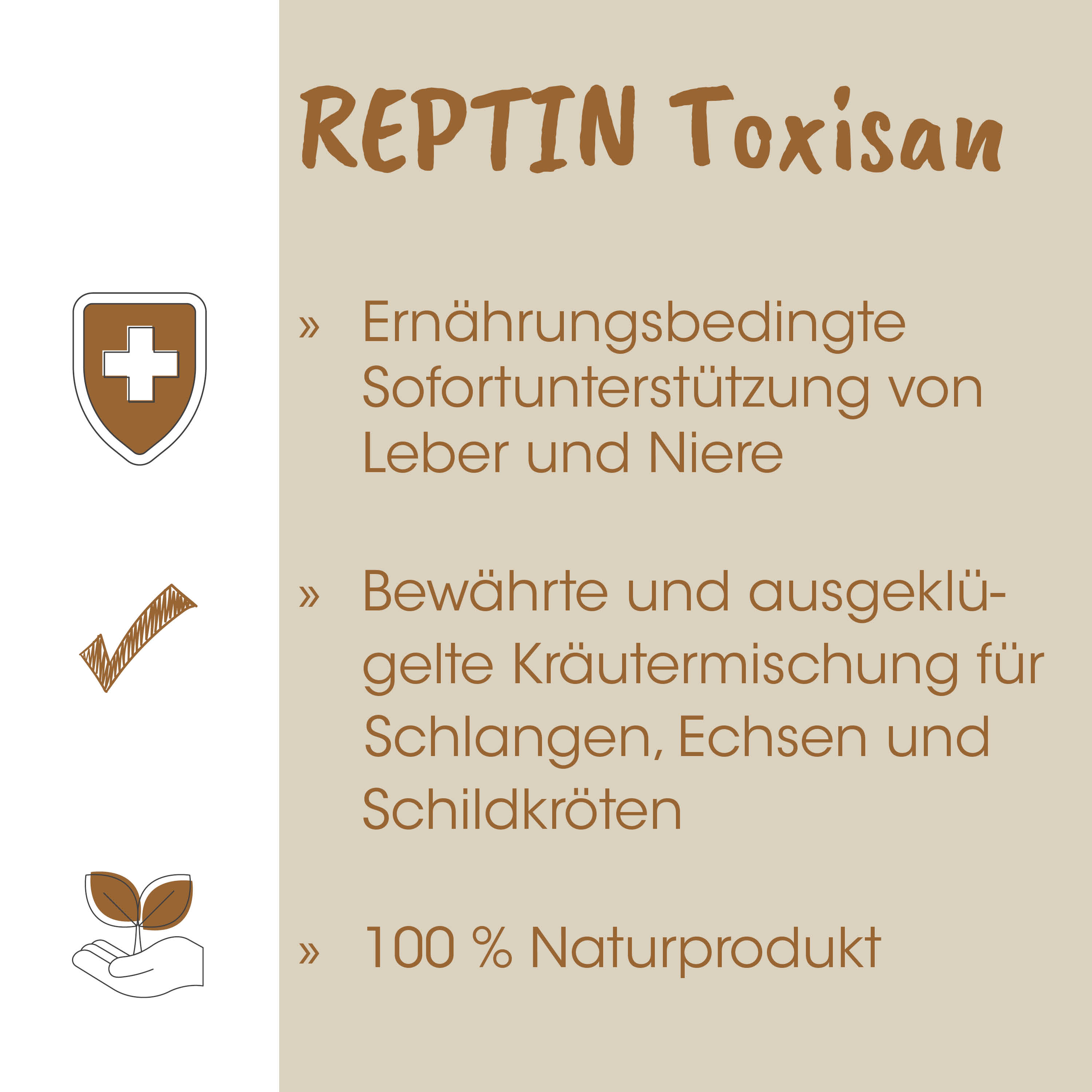 packaging, broschüre, marketing, text, illustration