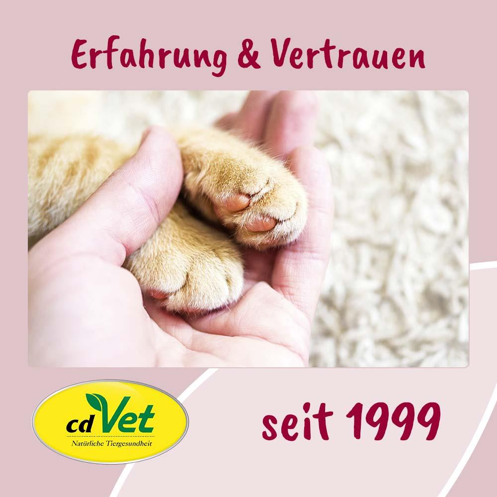 katzenpfoten, haustierpflege, weiches fell, tierarzt, seit 1999