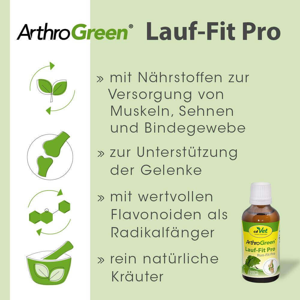 ArthroGreen Lauf-Fit Pro 100 ml -Sorbe-