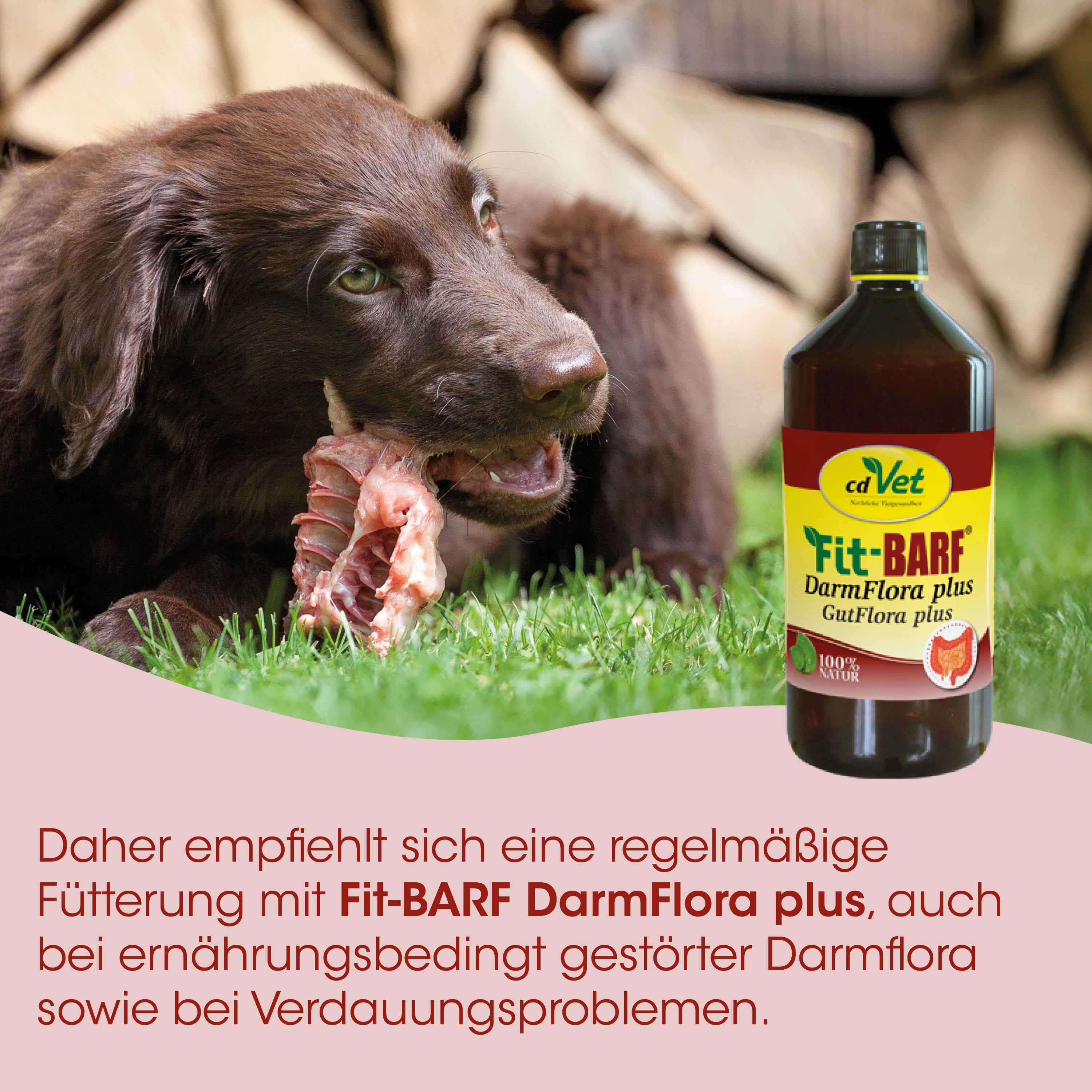 Hundefutter, Darmflora, Knochen, Barf, Flasche