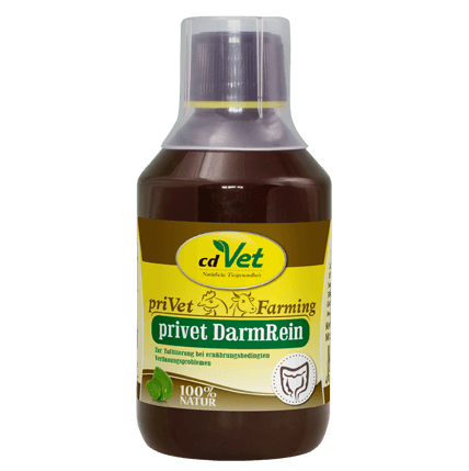 Shopbild privet DarmRein 250 ml -Sorbe-