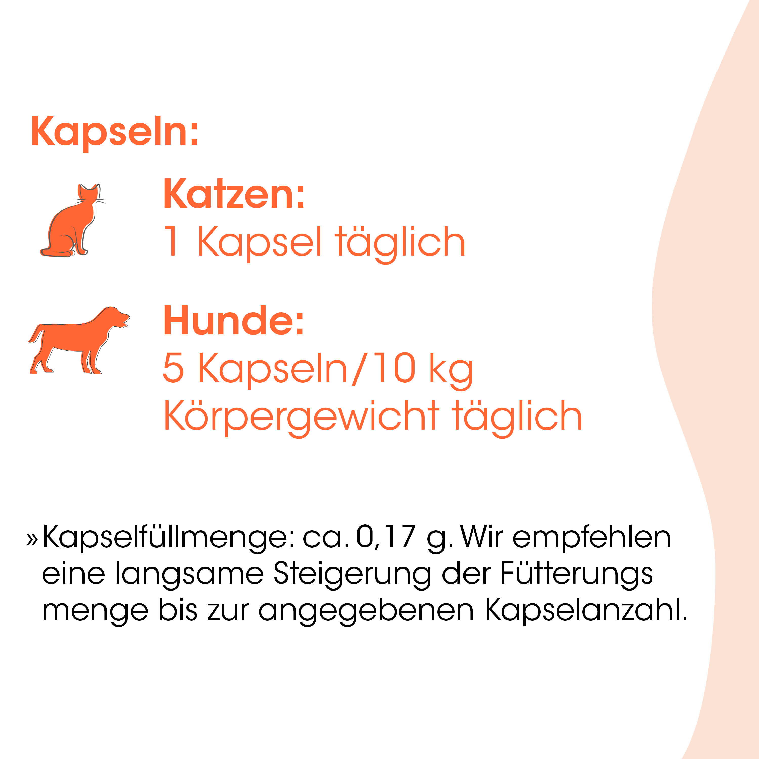 Kapseln, Katzen, Hunde, Körpergewicht, Futteranleitung