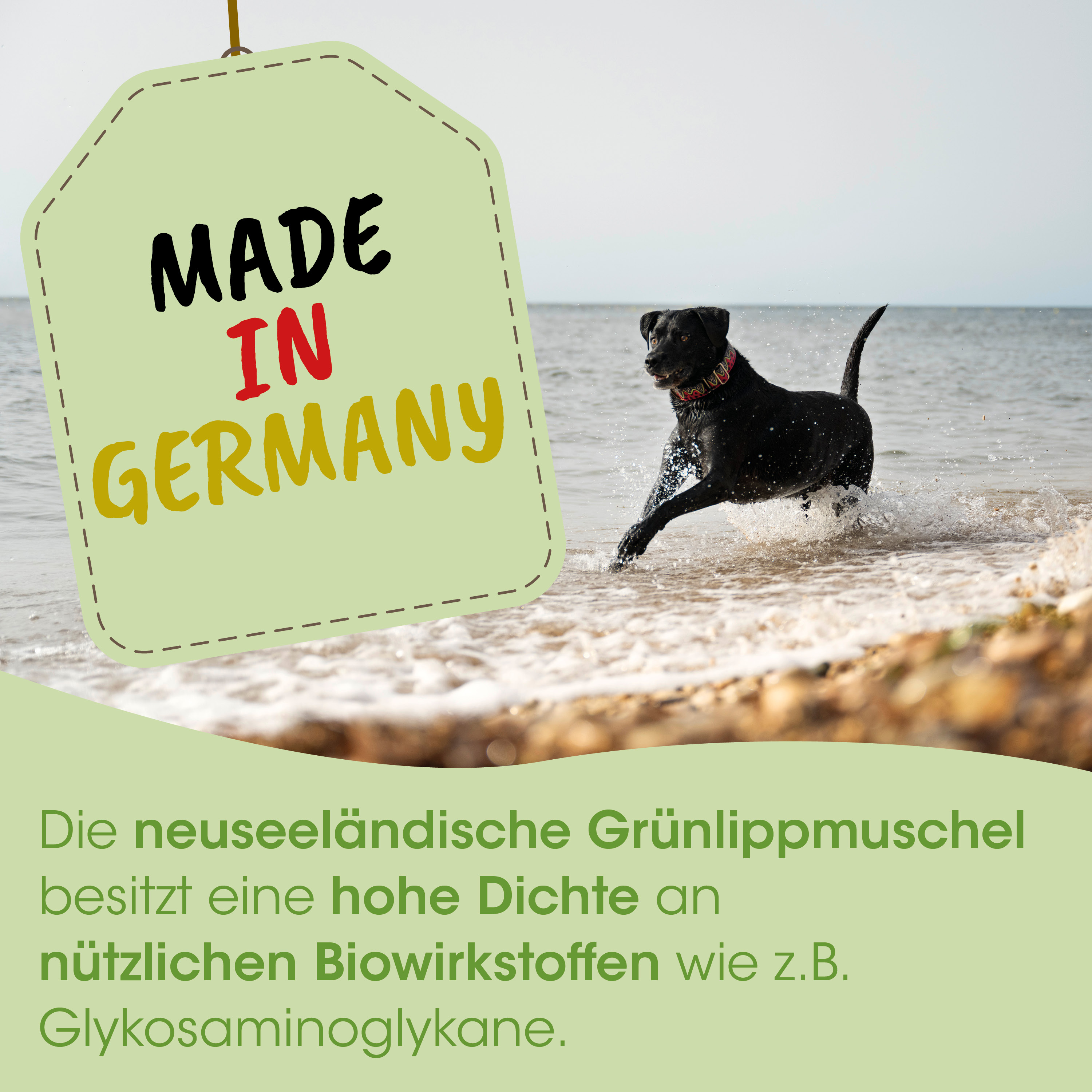 Hund, Schwarz, Schwimmender Hund, Webband/Etikett, Made in Germany