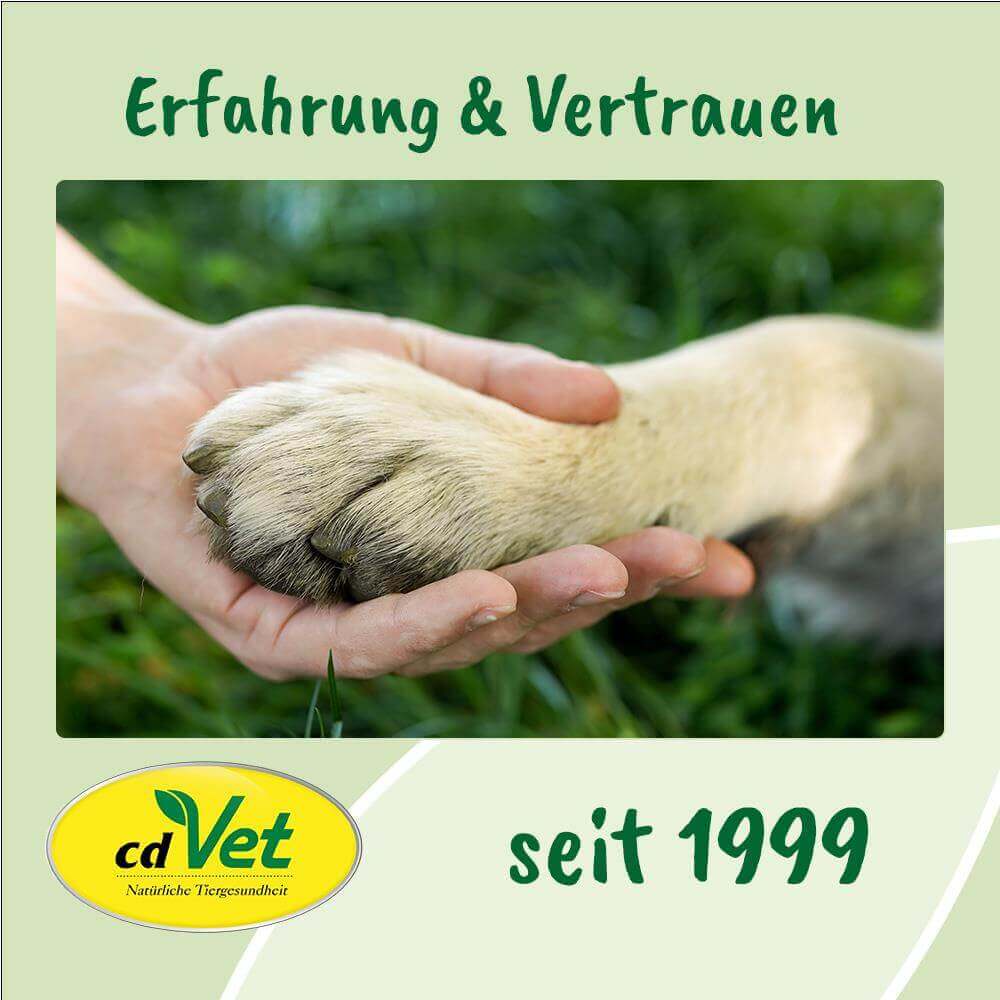 Shopbild ArthroGreen Lauf-Fit Pro 100 ml -Sorbe-