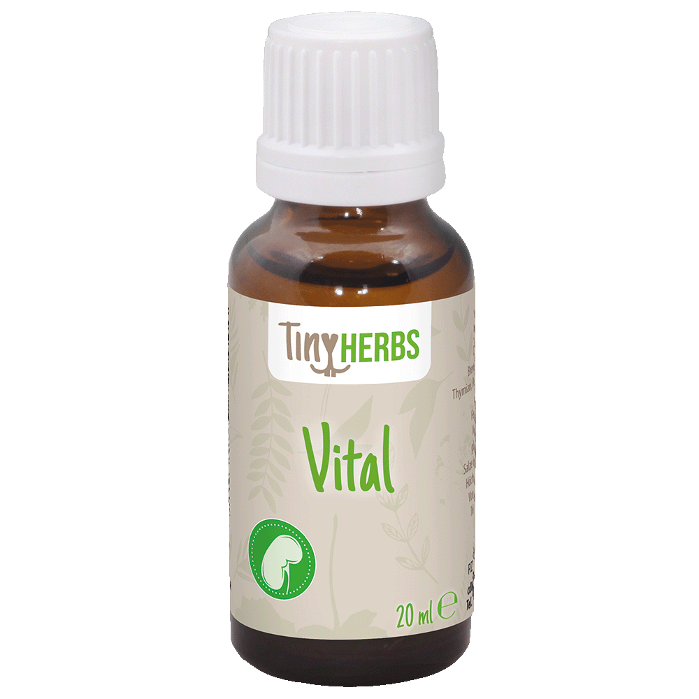 Vital, Pflanzenbasiert, Öl, 20 ml, TinyHerbs