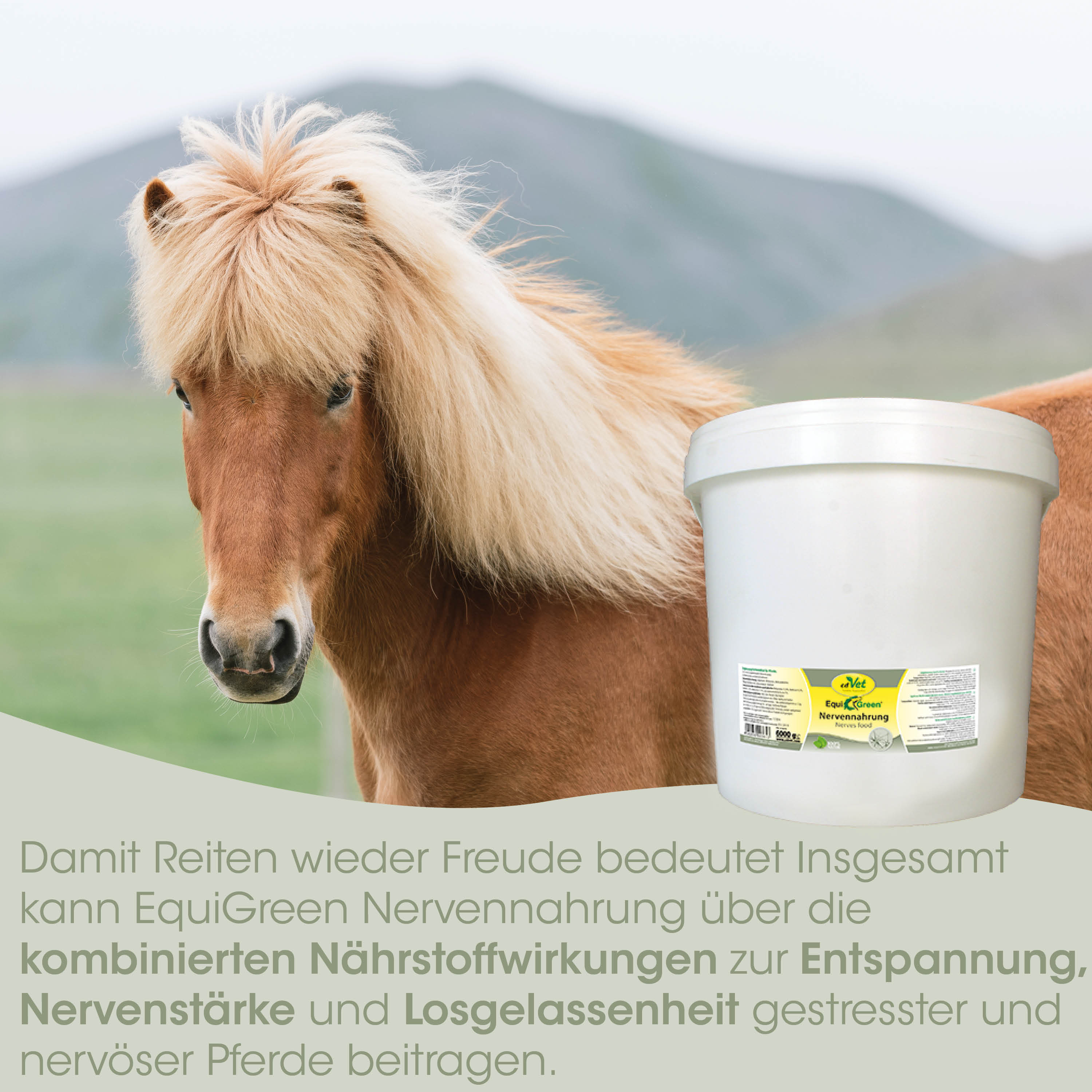 Pferd, Futter, Nervennahrung, Eimer, Kunststoffbehälter