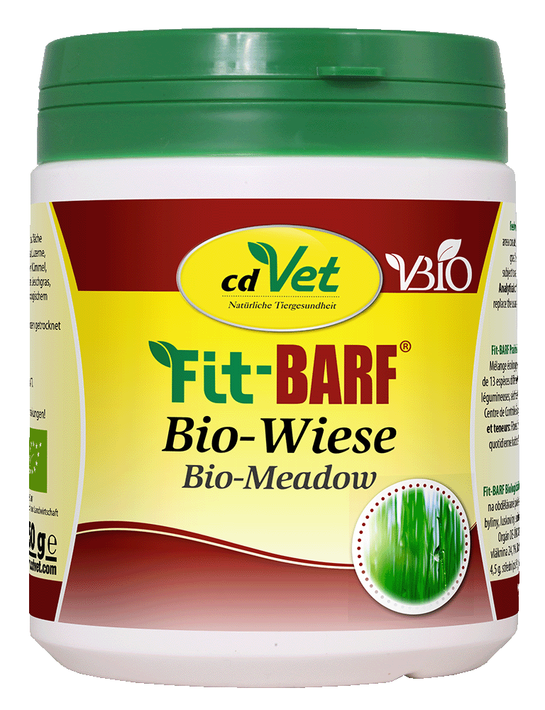 Bio-Wiese, FiT-BARe, Futter, Tierfutter, Meadow grass