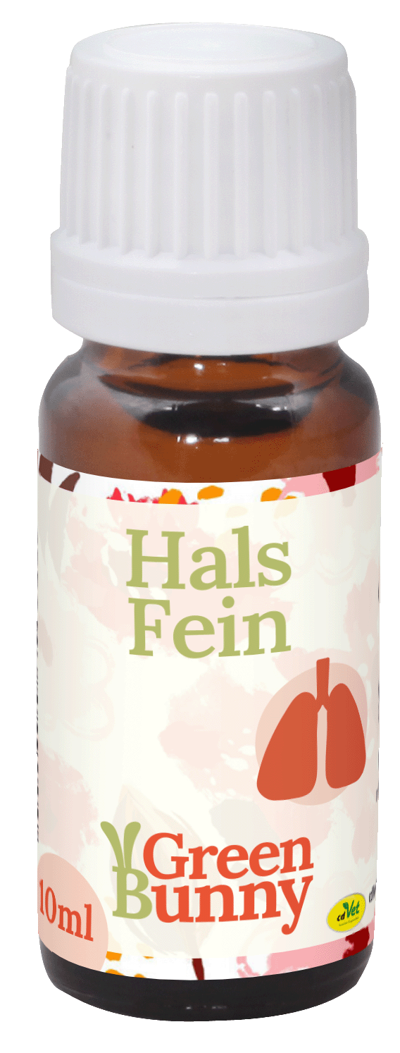 GreenBunny HalsFein GreenBunny HalsFein