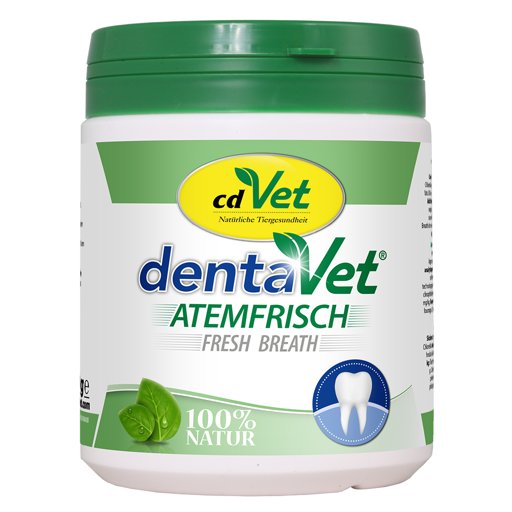 Zahnpflege, Zahnpflege-Produkt, Mundhygiene, Zahncreme?, Naturprodukt