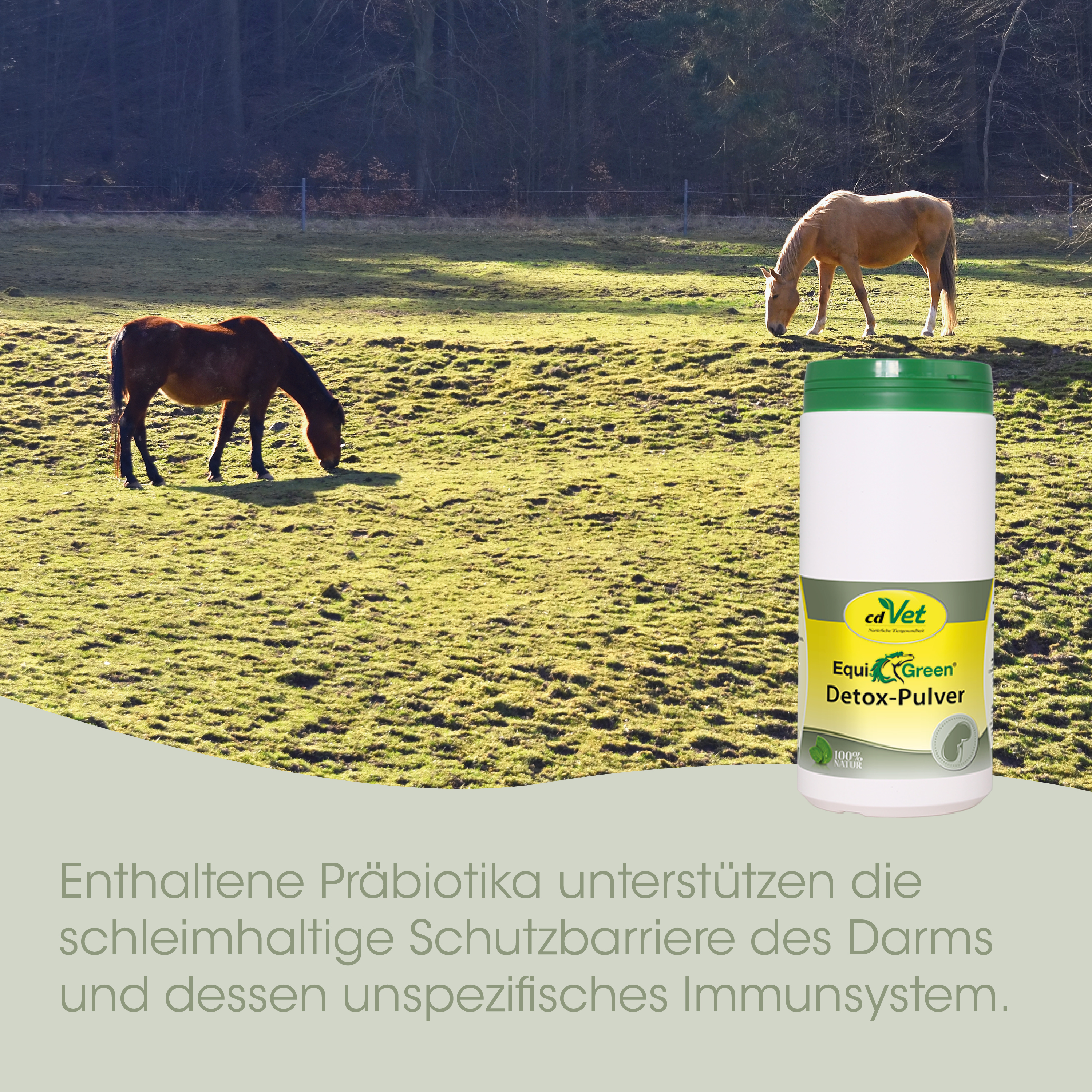EquiGreen Detox-Pulver 6 kg