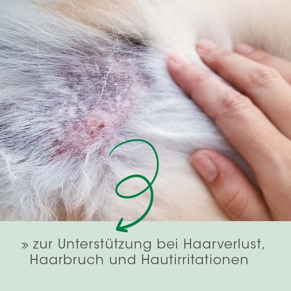Fell & Haut Vital Hund & Katze 3 kg