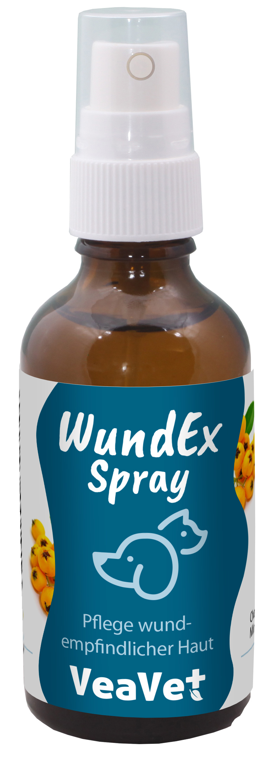VeaVet WundEx Spray 50 ml Kräuterig, Kräuter, Pflanze