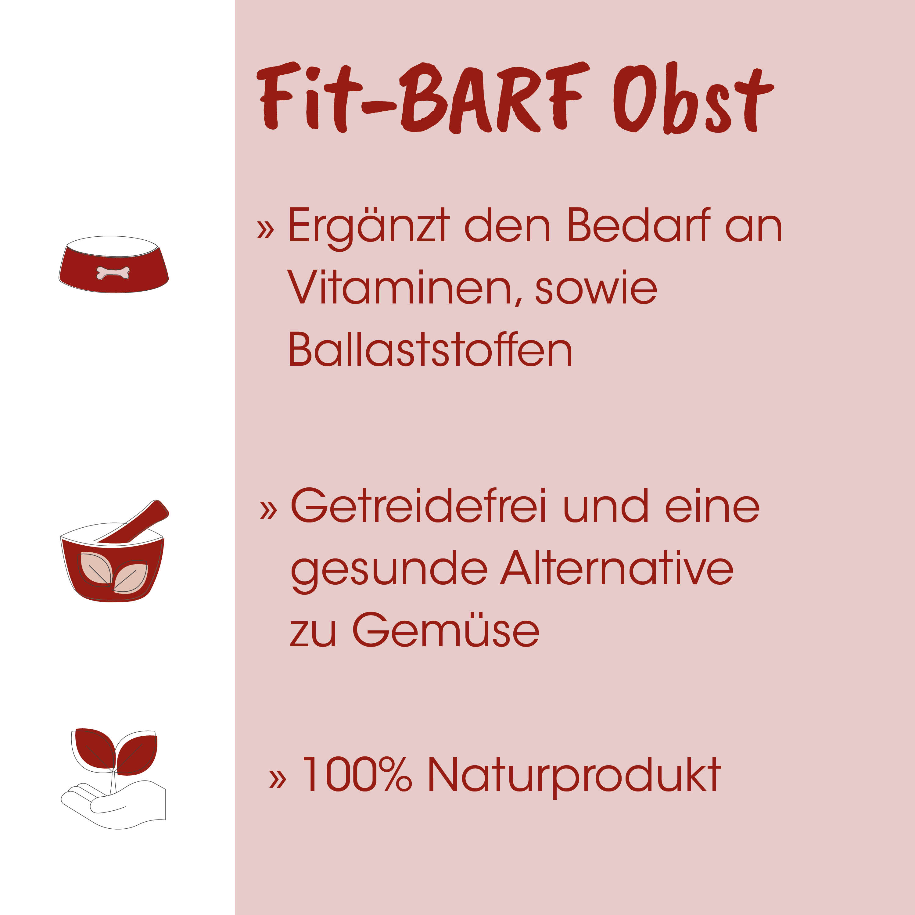 Hundeschüssel, Schüssel, Futterbehälter, Tierbedarf, Trockenfutter