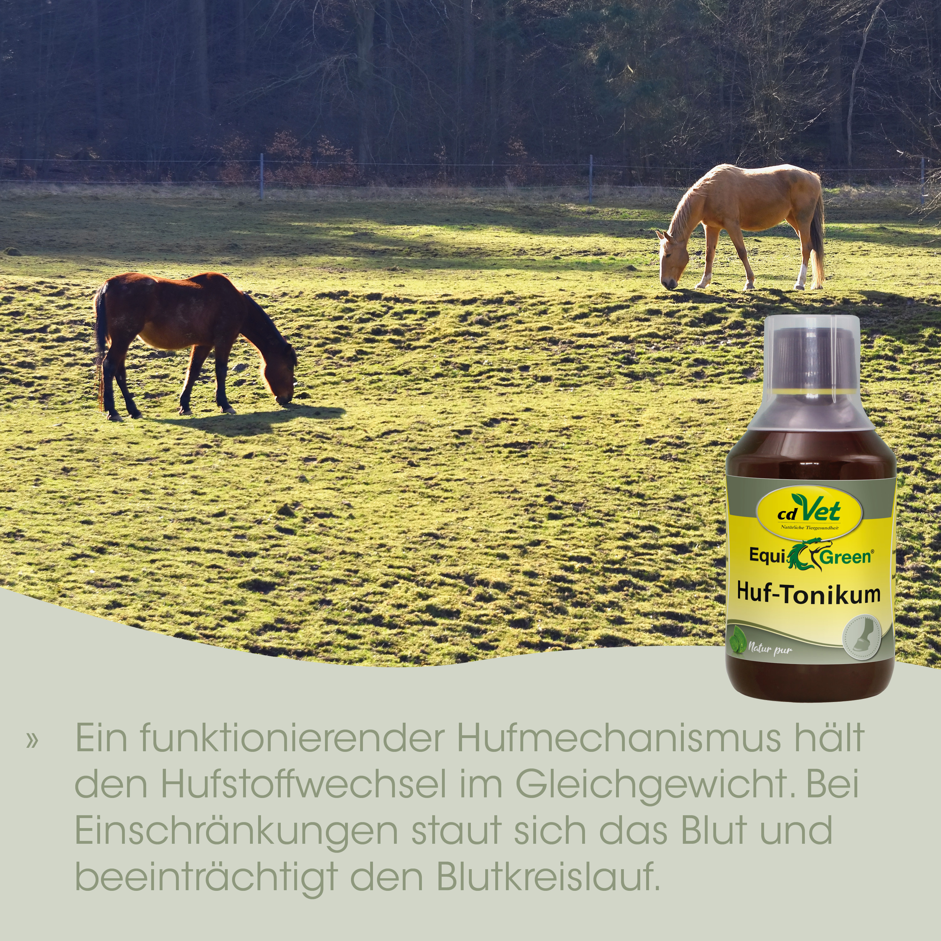 pferd, weide, gras, flasche, huf-tonikum