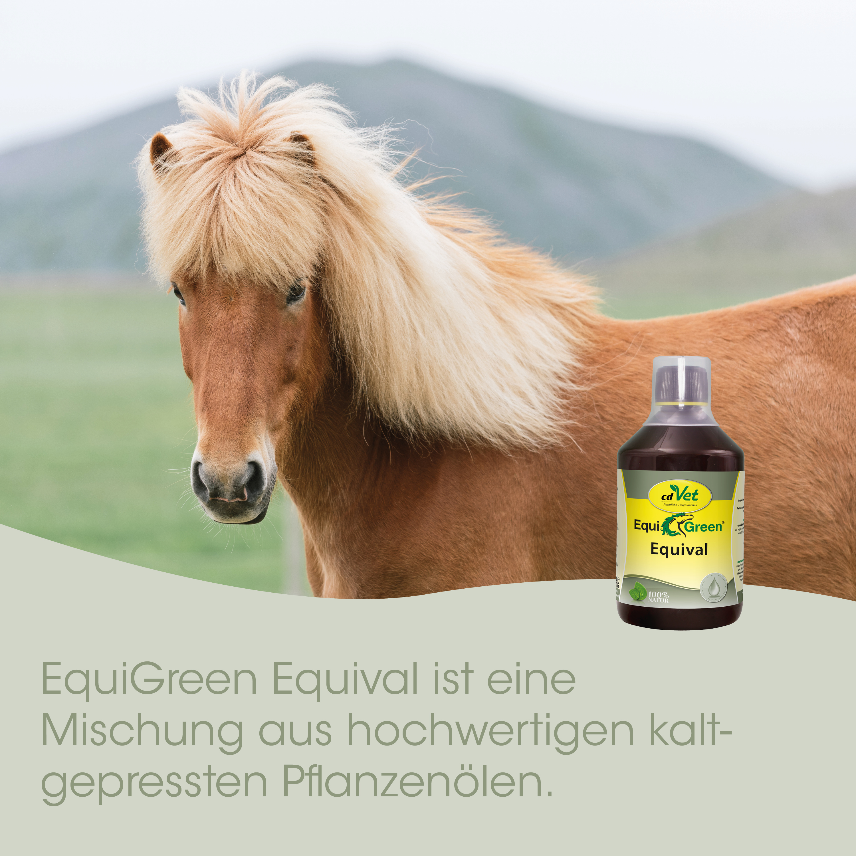 pferd, horse, equine, futterzusatz, ölmischung