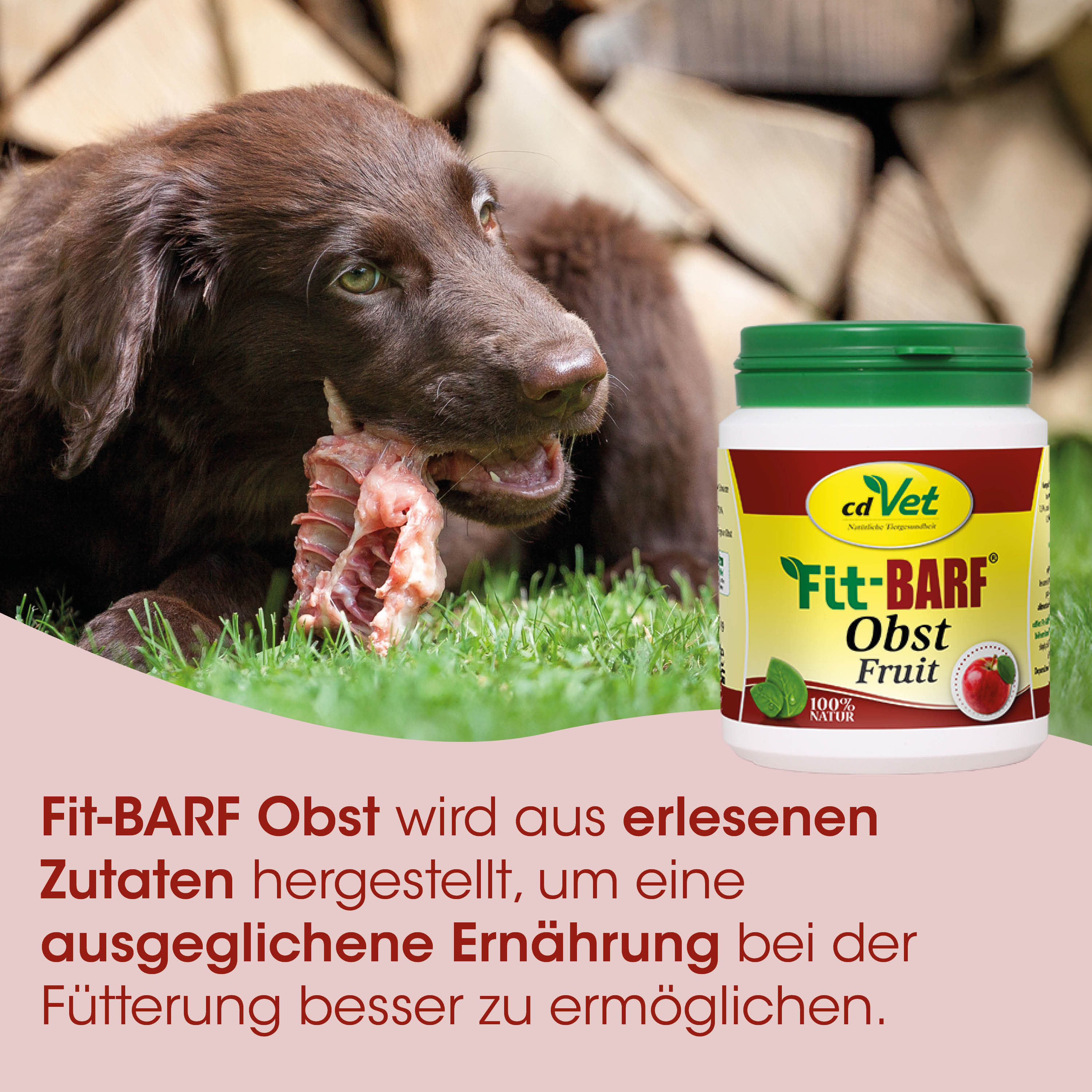 Hund, Kauartikel, Futter, Obstgeschmack, Tiernahrung