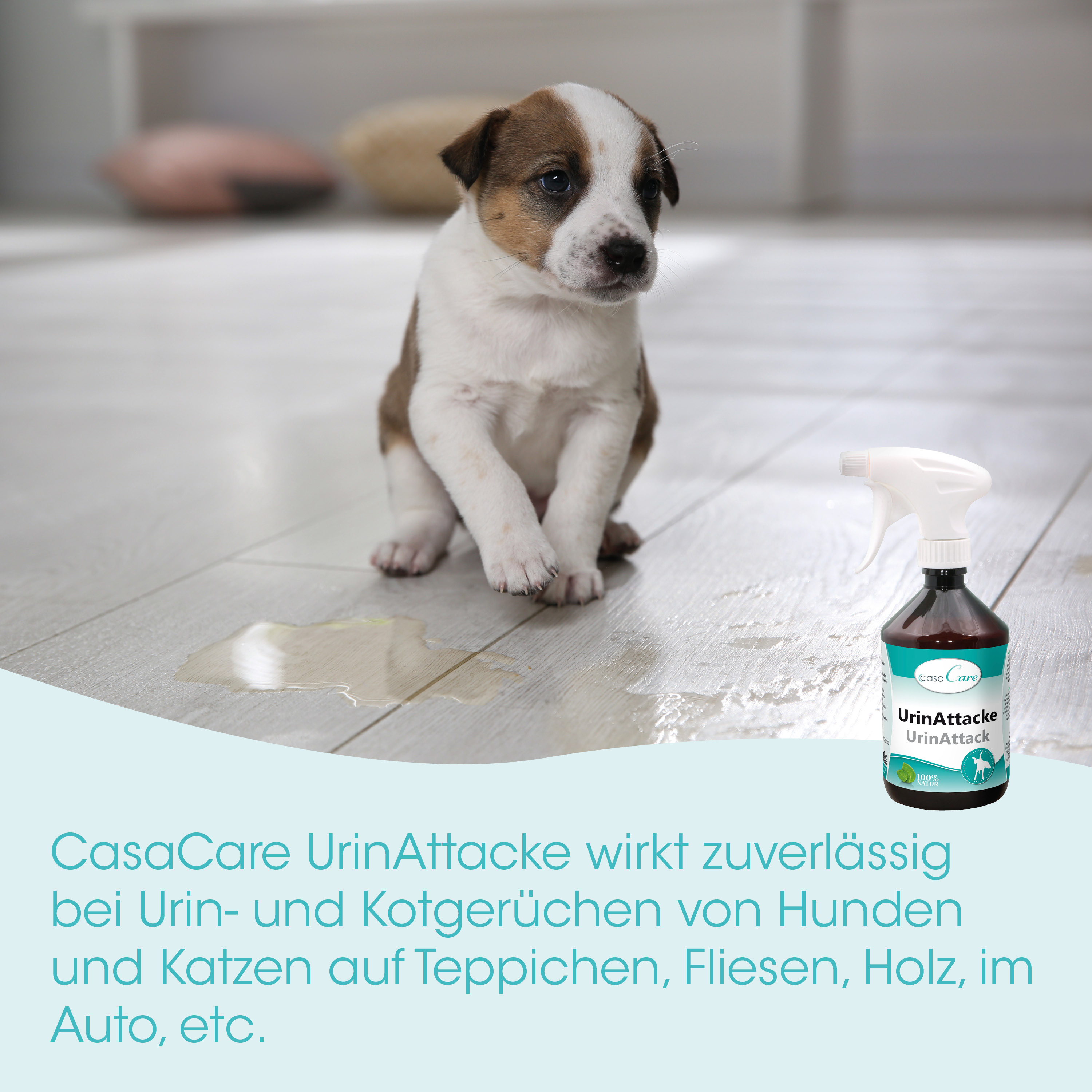 Puppy, Pfoten, Tierarztbedarf?, Urinausscheidung?, Spray-Flasche?